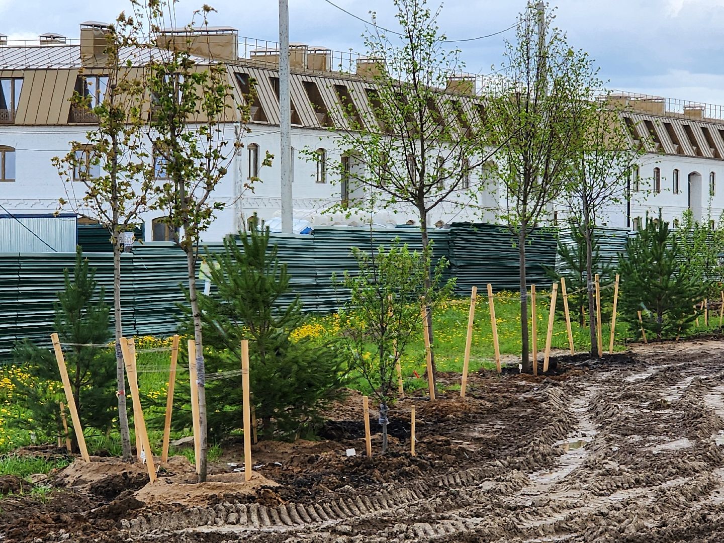 сергиев посад, семхоз, озеленение,