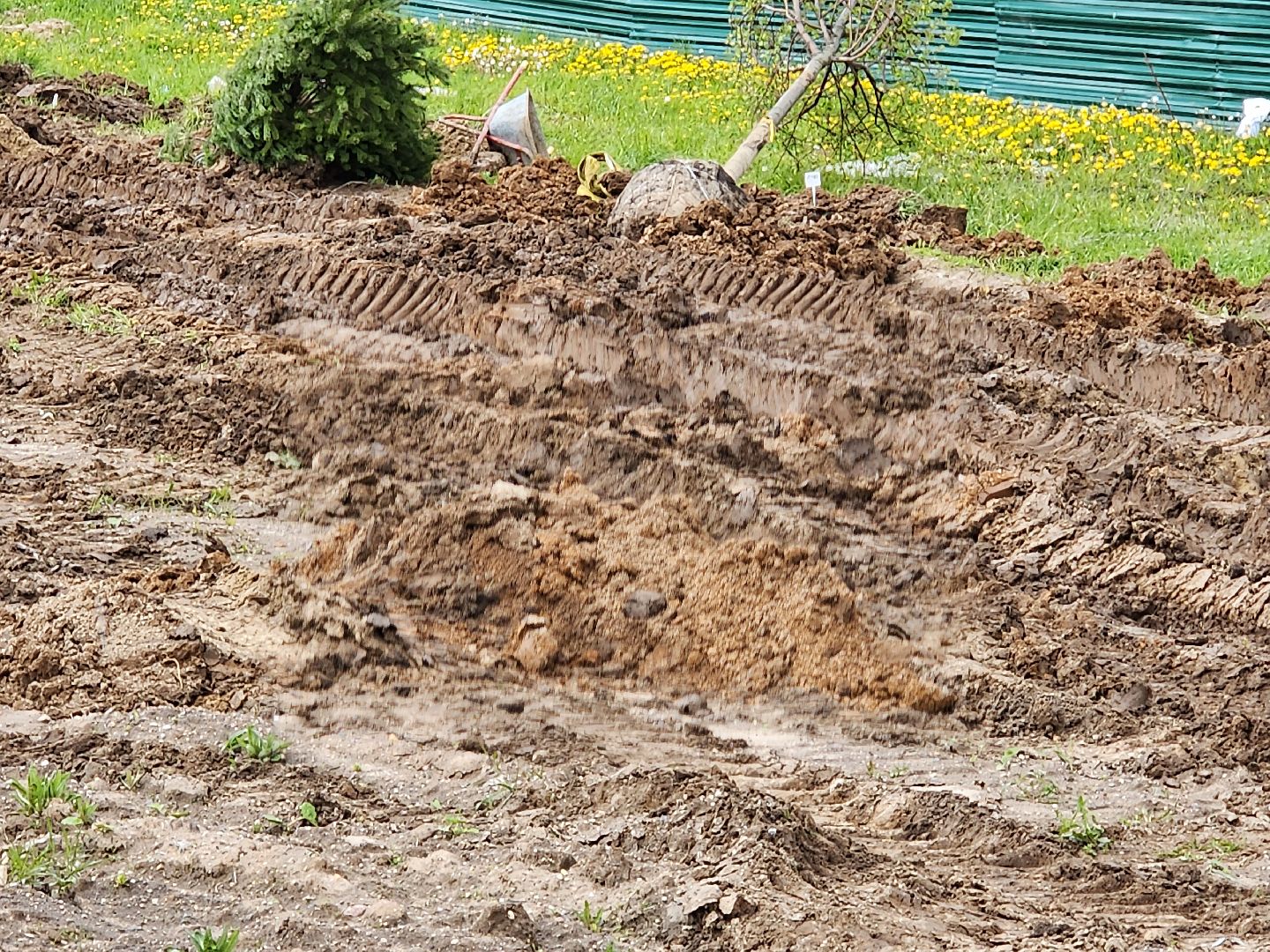 сергиев посад, семхоз, озеленение,