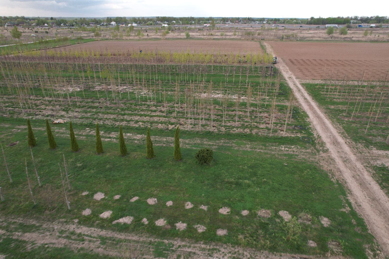 видео с коптера, доращивание декоративных растений,  аллейные деревья для озеленения,