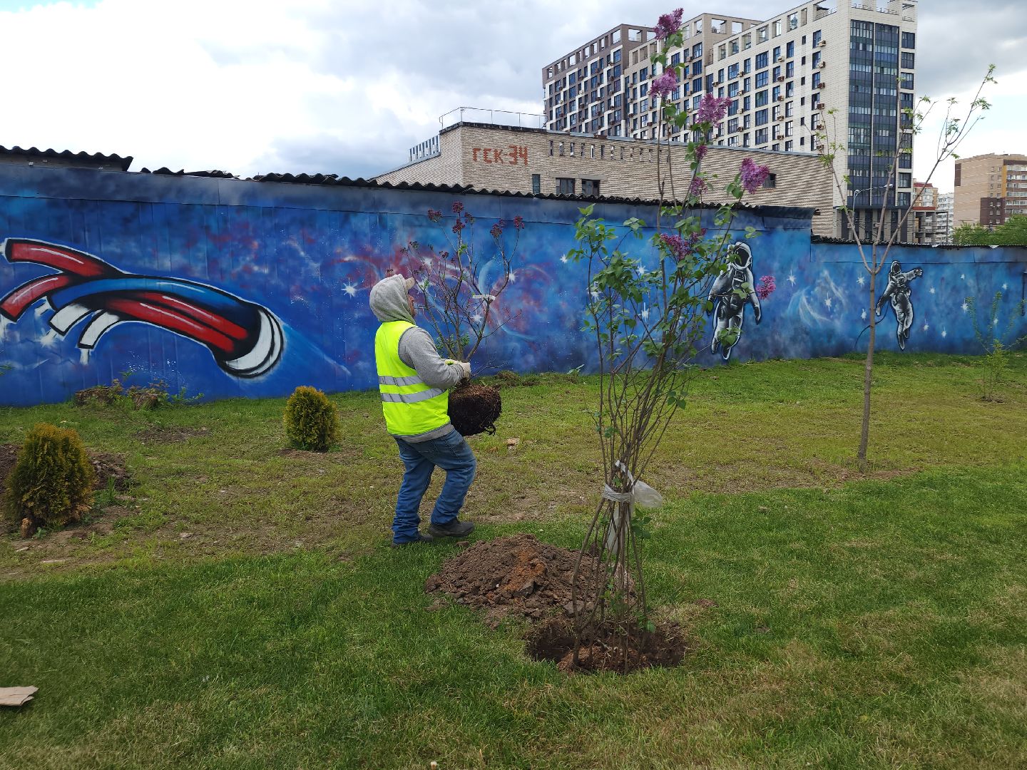 мытищи, деревья, природа,