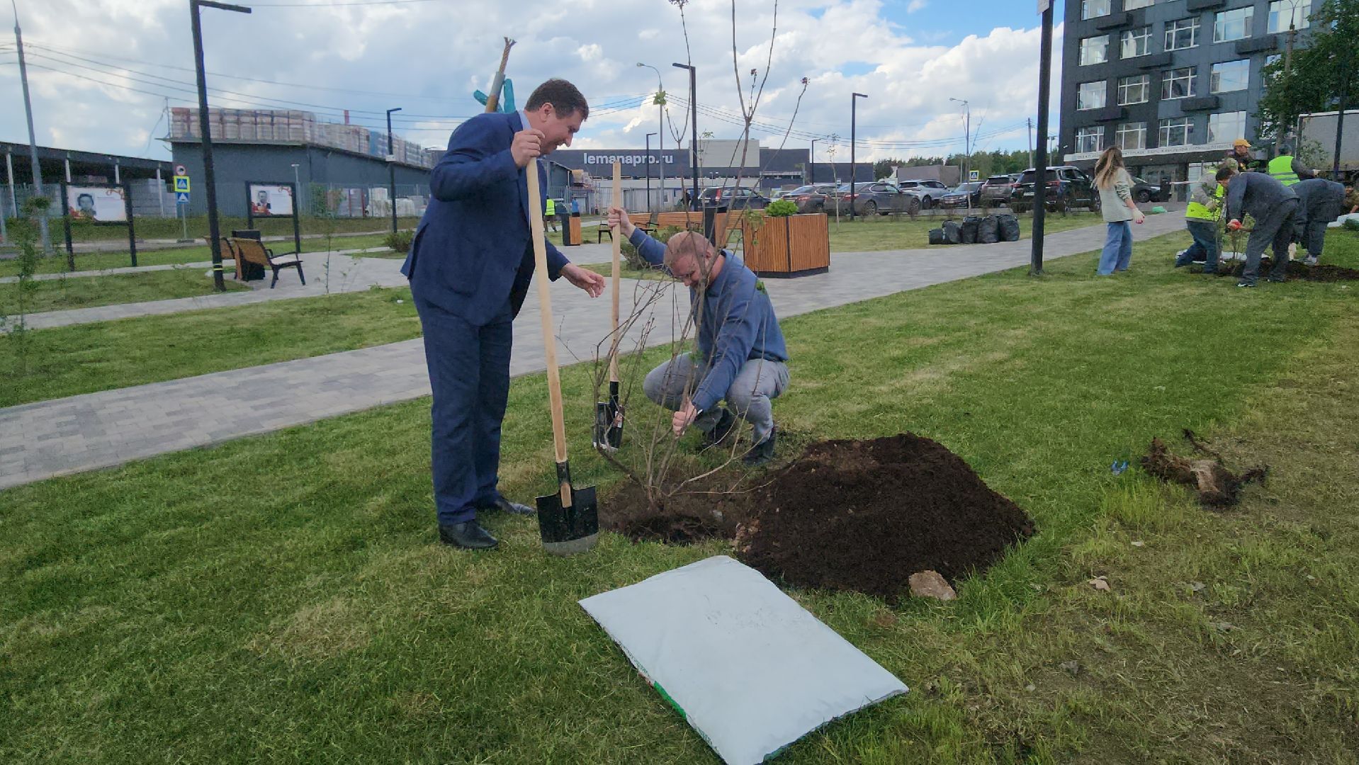 мытищи, деревья, природа,