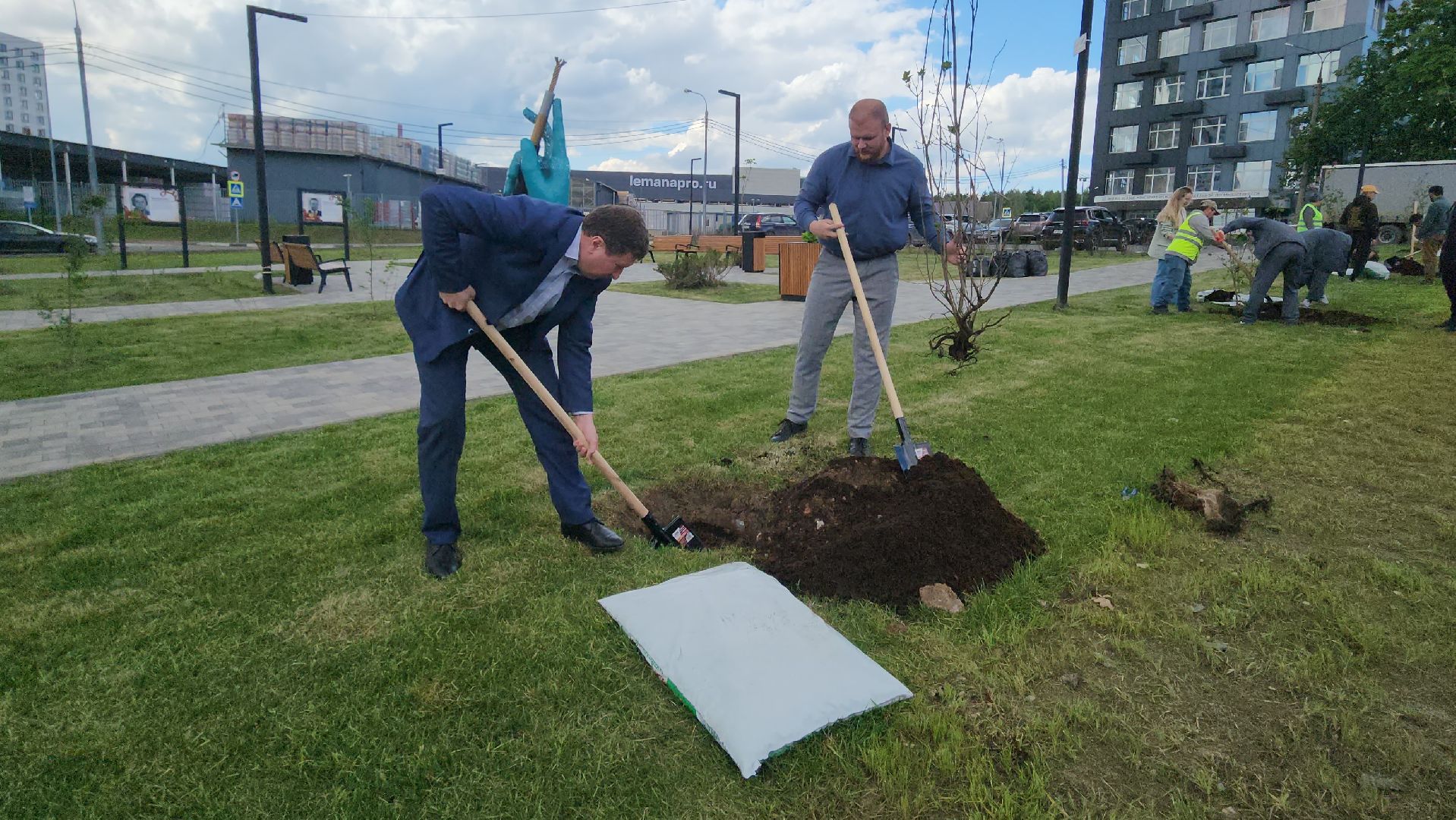 мытищи, деревья, природа,