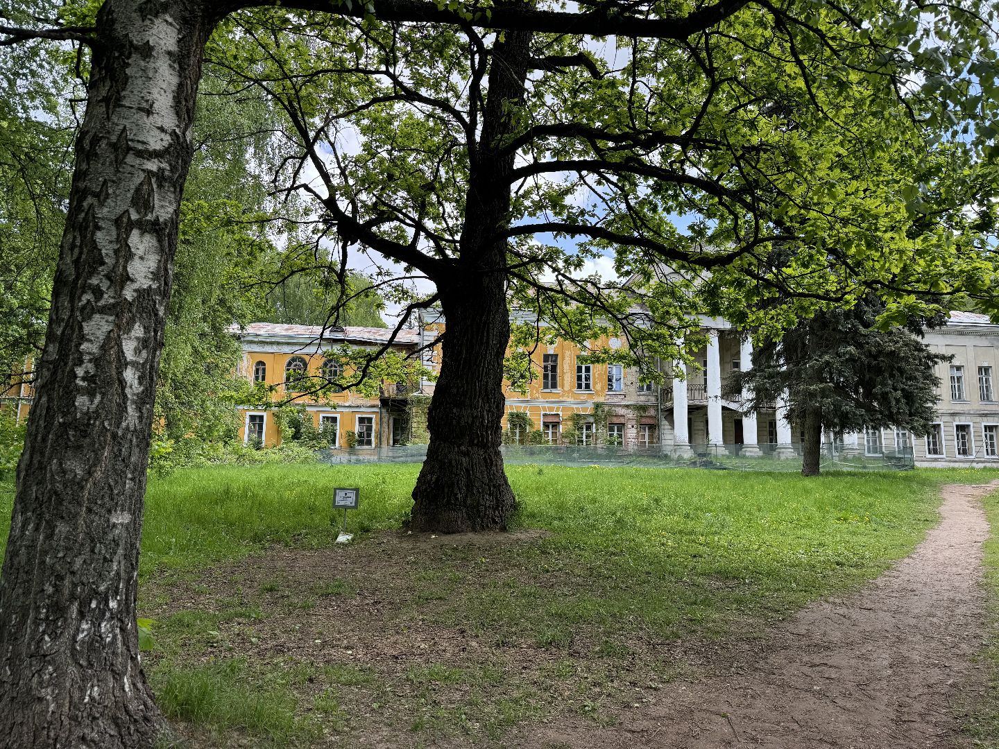 дуб волконских , дерево года - 2025, памятник живой природы, конкурс , усадьба суханово , ленинский городской округ,