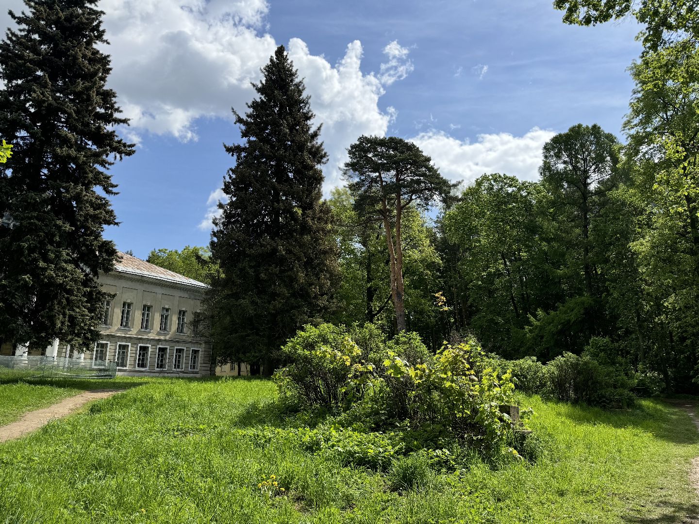 дуб волконских , дерево года - 2025, памятник живой природы, конкурс , усадьба суханово , ленинский городской округ,