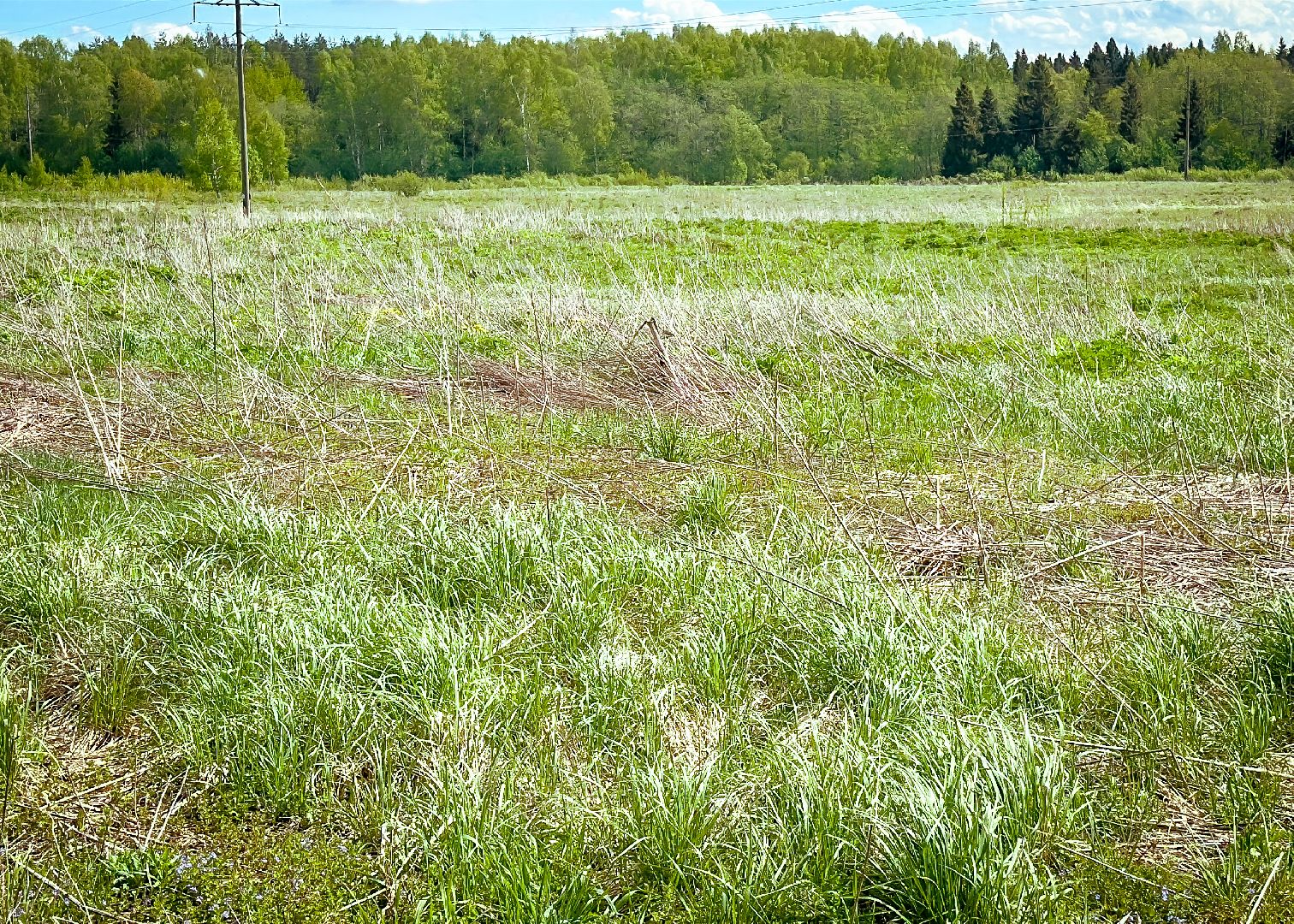 клин, экономика, сельское хозяйство, обработка от борщевика,