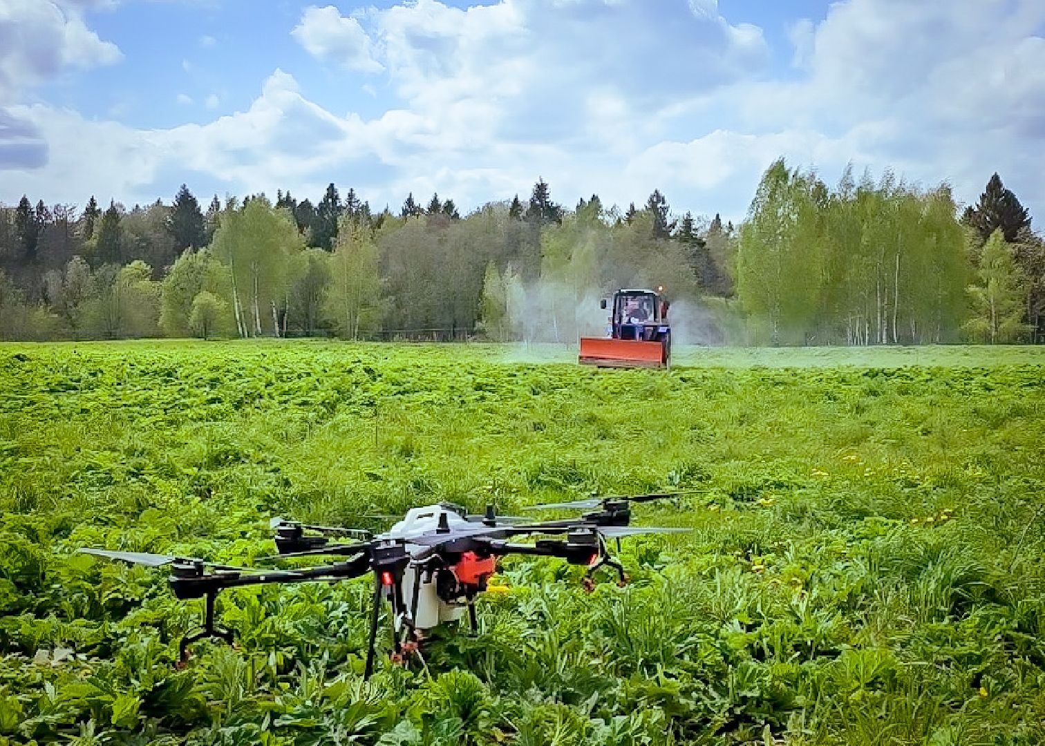 клин, экономика, сельское хозяйство, обработка от борщевика,