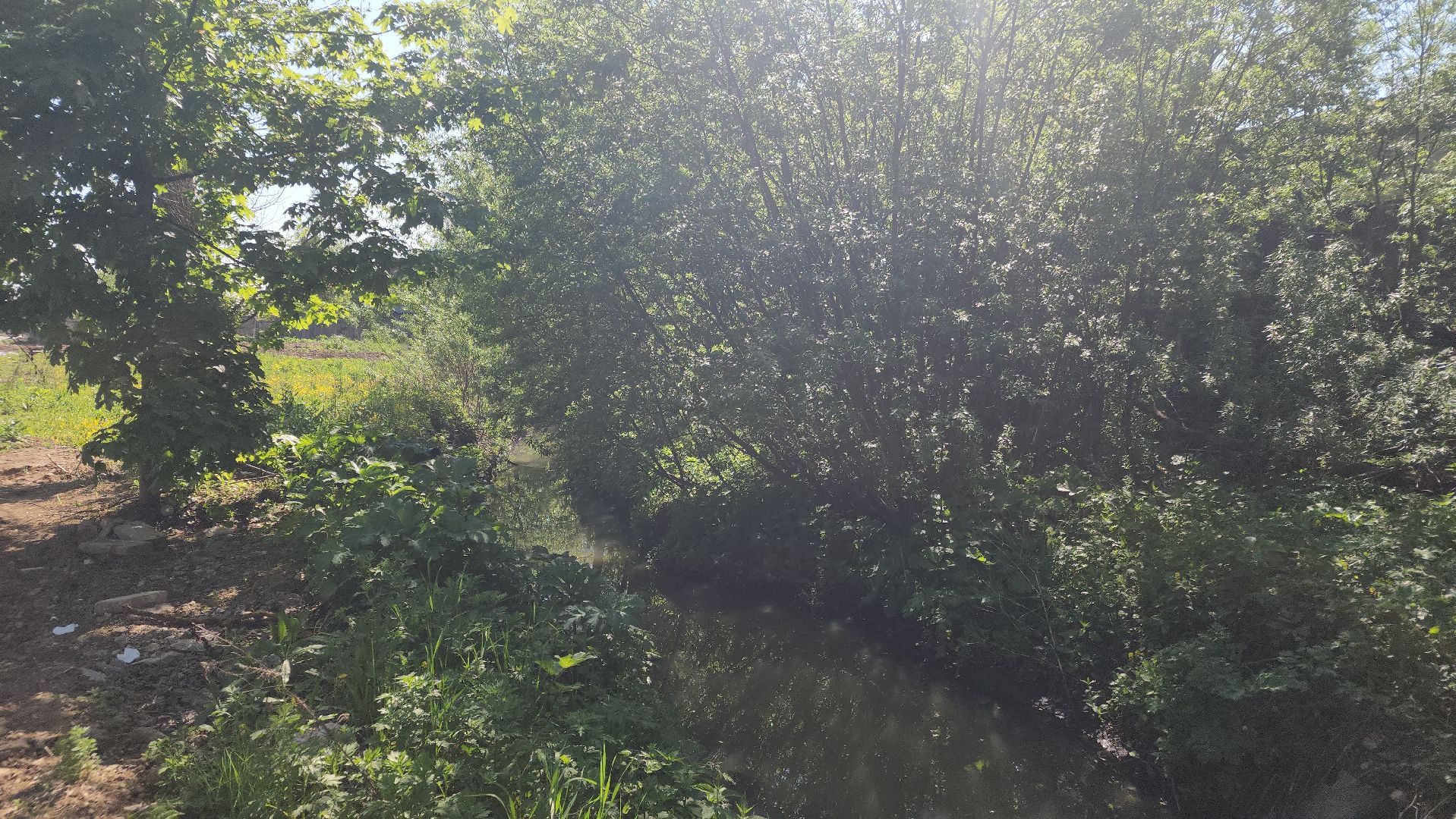 выездная, жкх, жители, власть,