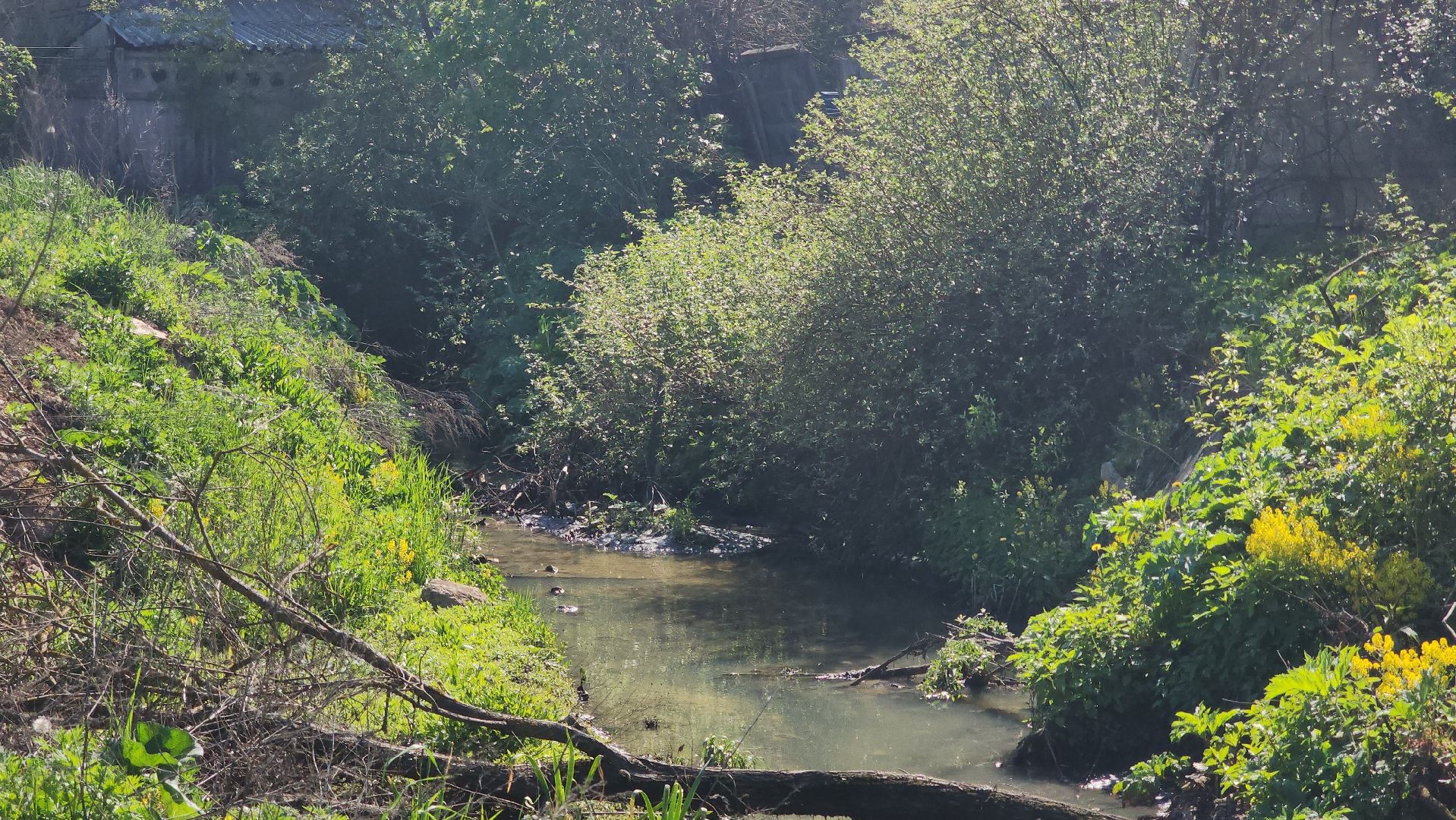 выездная, жкх, жители, власть,