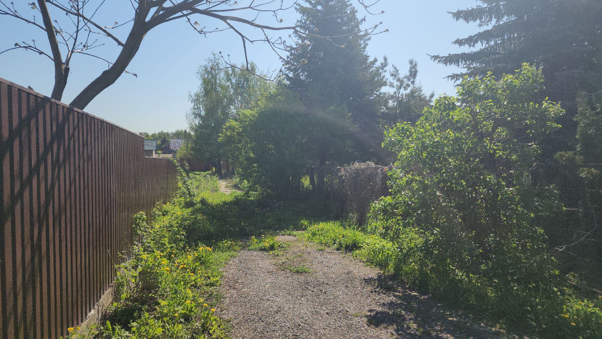 выездная, администрация, власть, жители,