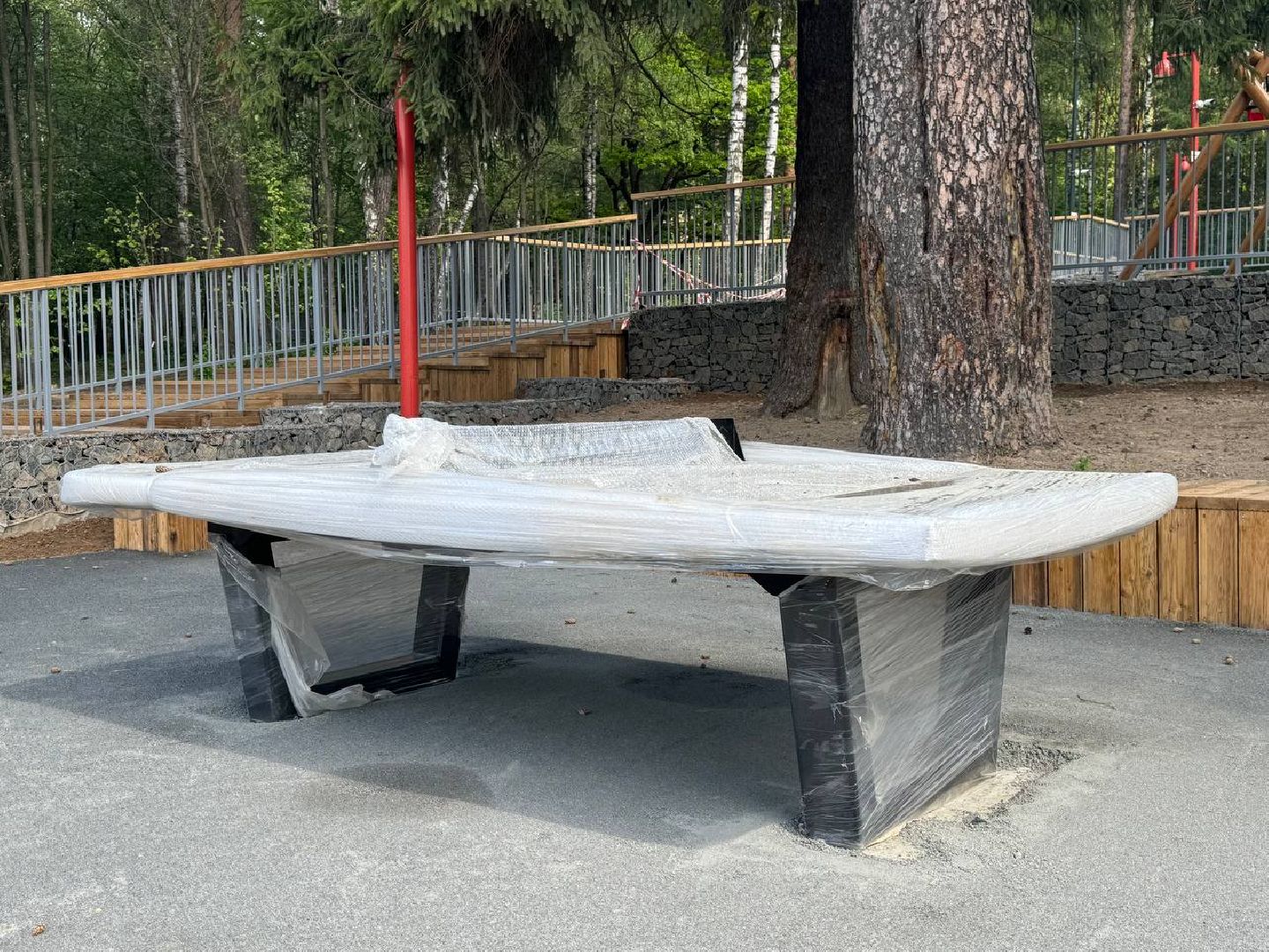 кучинский лесопарк, благоустройсво, первый этап,