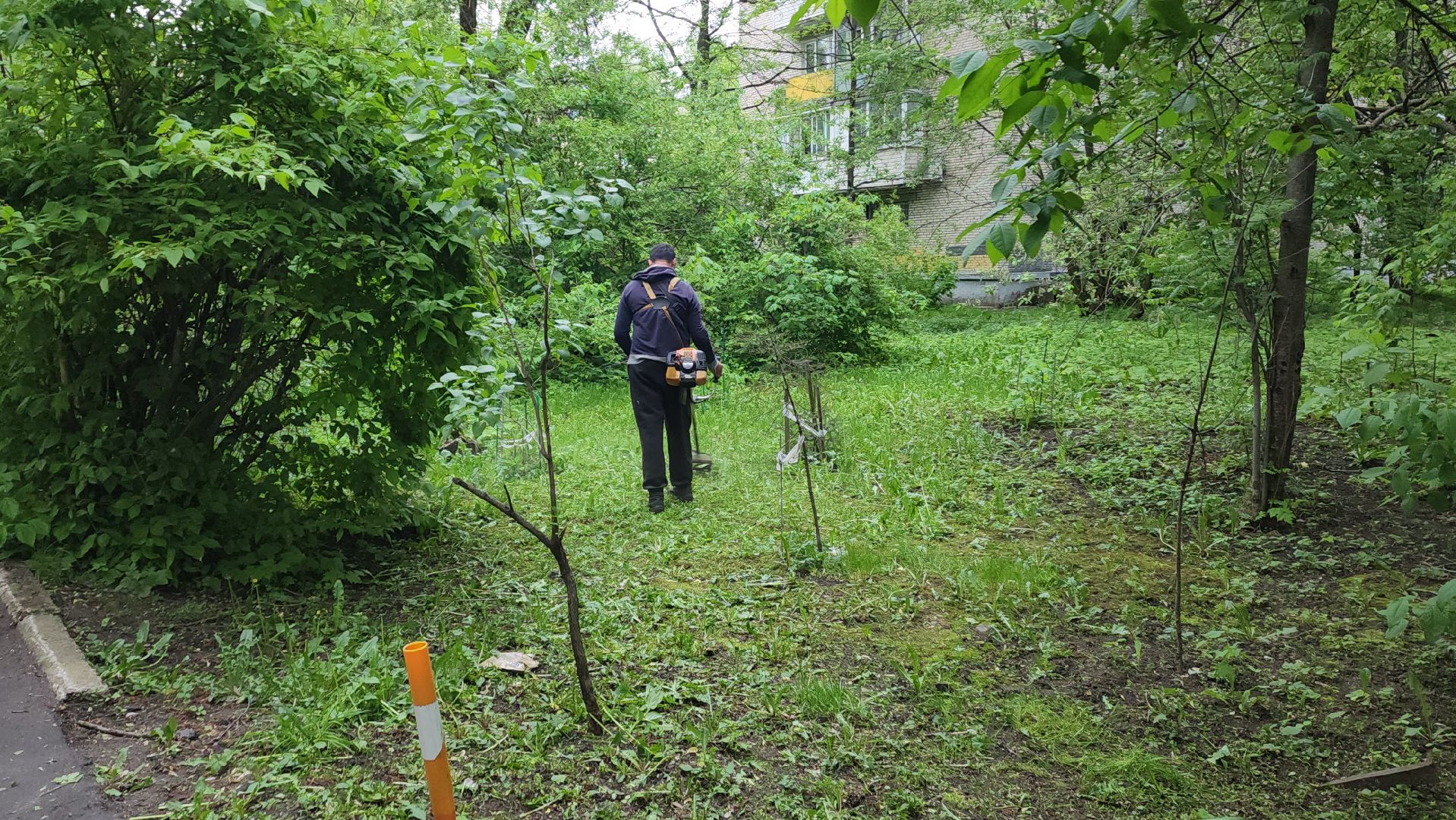 пушкинский округ, пушкино, вертикалки, покос травы, западный, микрорайон, коммунальная служба,