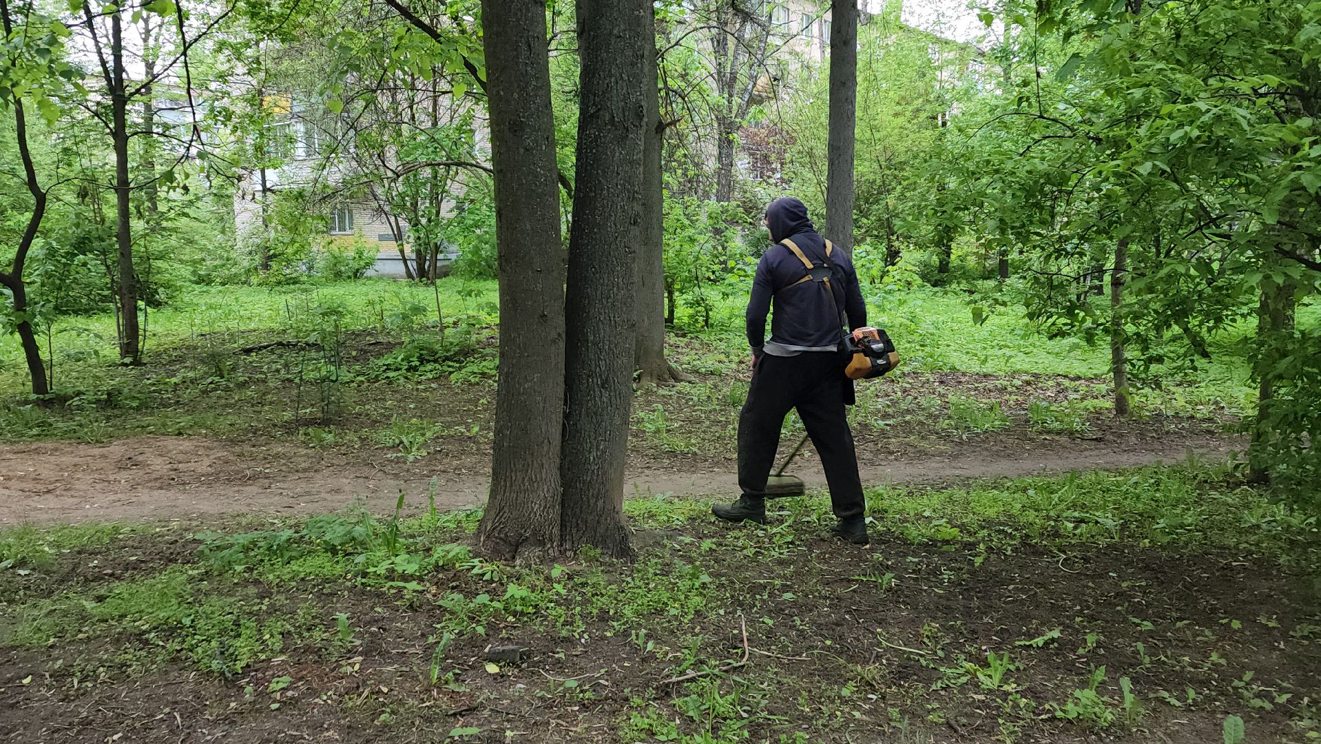 пушкинский округ, пушкино, вертикалки, покос травы, западный, микрорайон, коммунальная служба,
