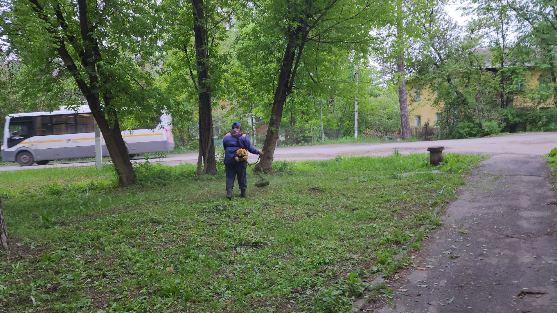 пушкинский округ, пушкино, вертикалки, покос травы, западный, микрорайон, коммунальная служба,