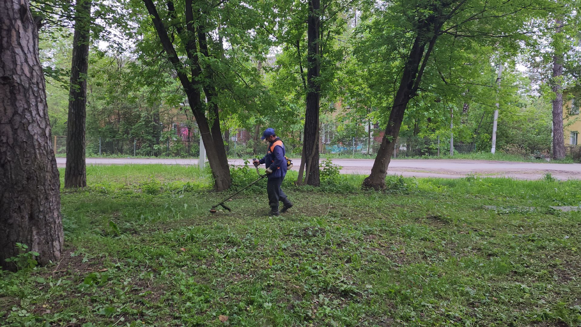 пушкинский округ, пушкино, вертикалки, покос травы, западный, микрорайон, коммунальная служба,