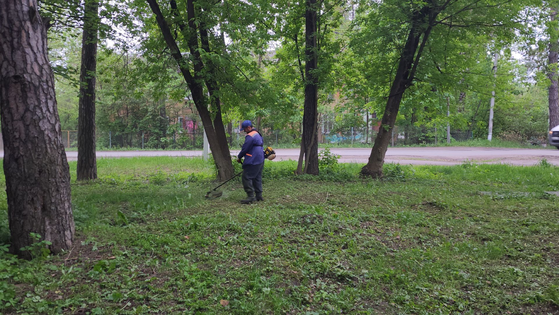 пушкинский округ, пушкино, вертикалки, покос травы, западный, микрорайон, коммунальная служба,