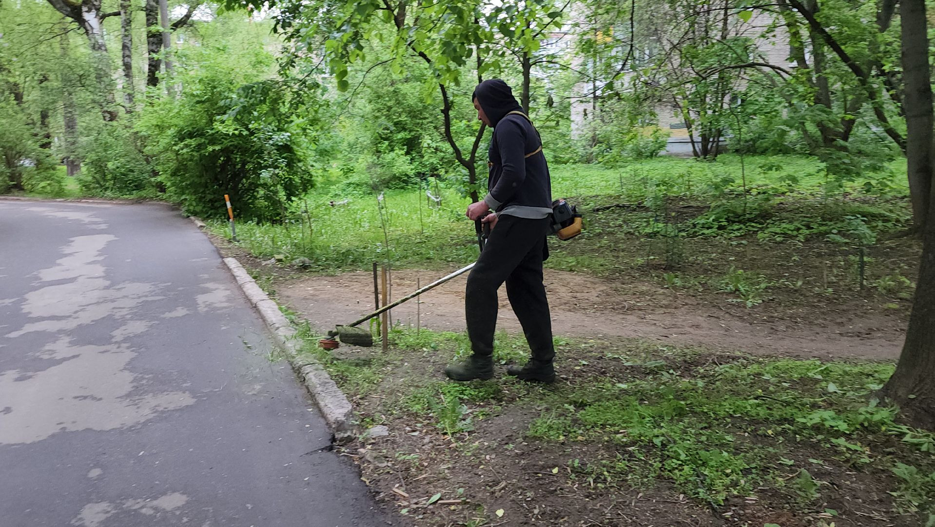 пушкинский округ, пушкино, вертикалки, покос травы, западный, микрорайон, коммунальная служба,