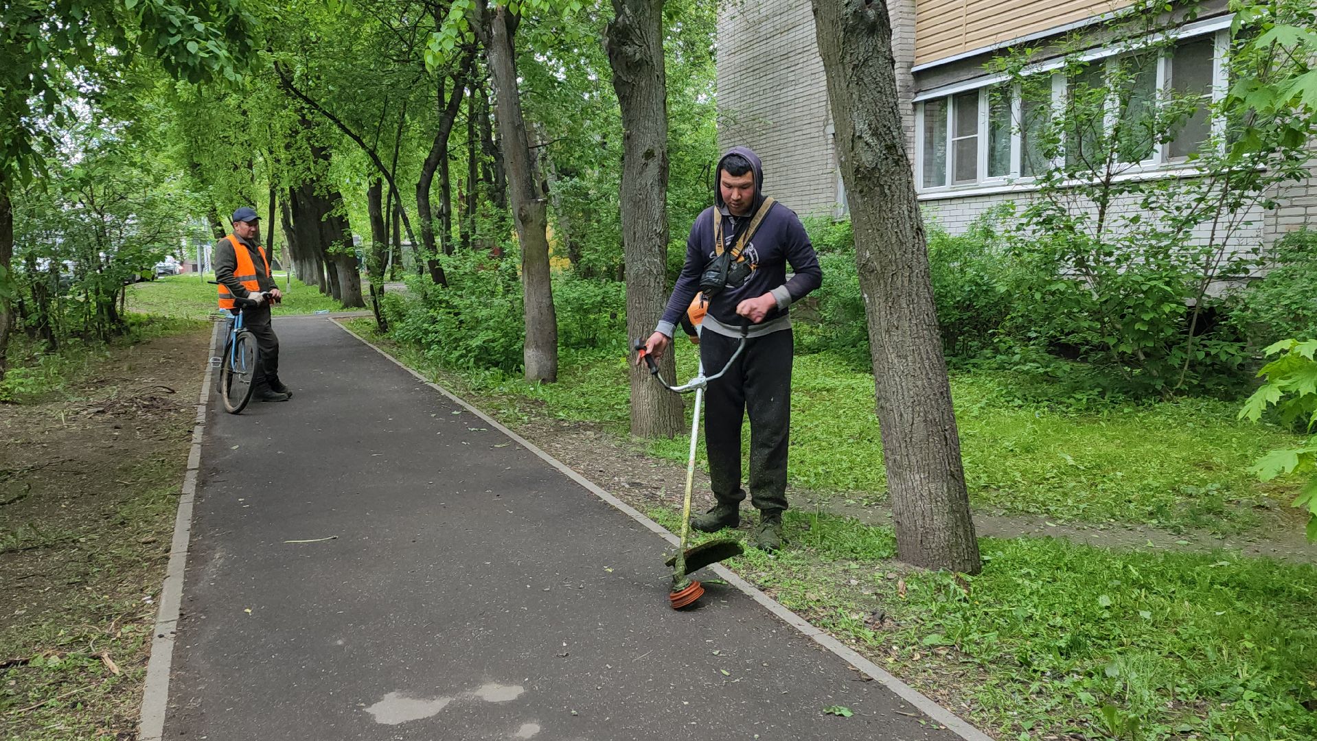 пушкинский округ, пушкино, вертикалки, покос травы, западный, микрорайон, коммунальная служба,