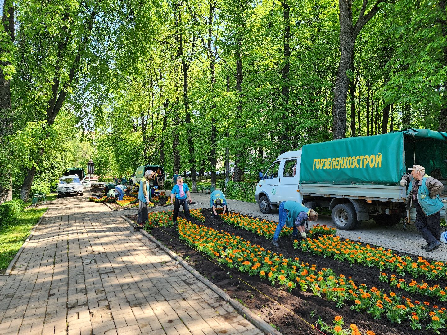 королёв,  благоустройство в королеве, горзеленхозстрой,