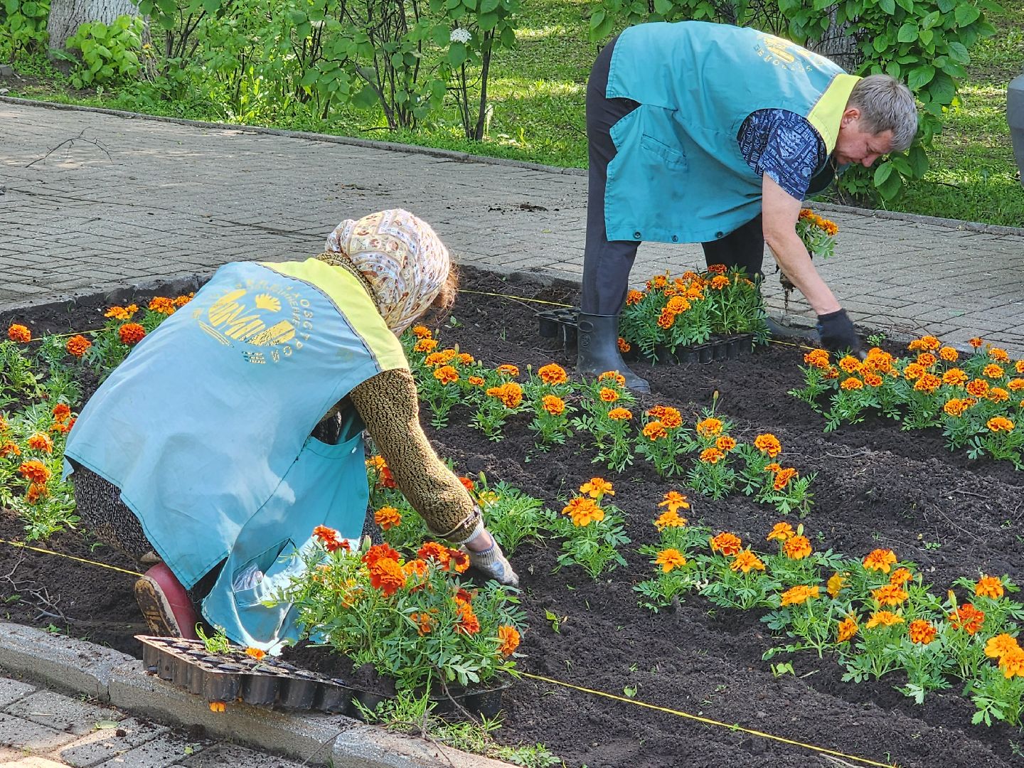 королёв,  благоустройство в королеве, горзеленхозстрой,