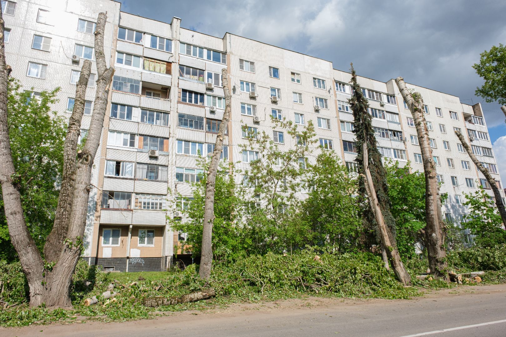лыткарино, жкх,  сухостойные деревья, благоустройство, опиловка деревьев,