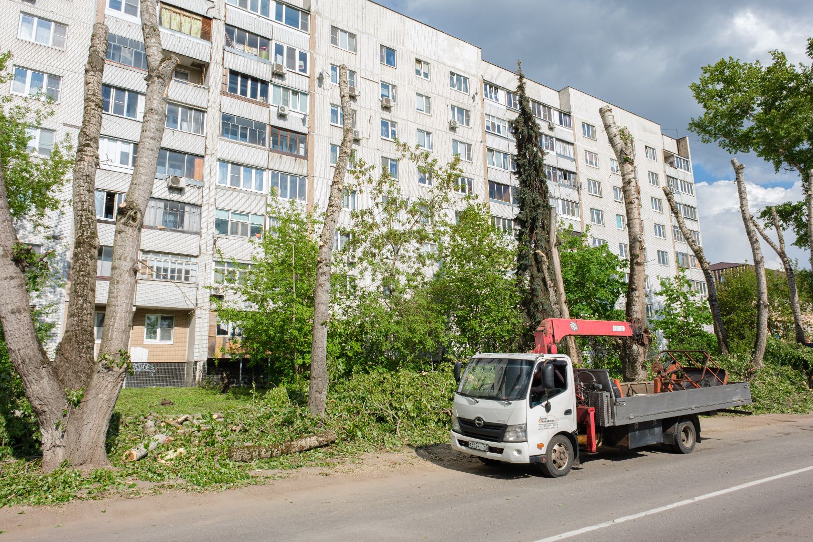 лыткарино, жкх,  сухостойные деревья, благоустройство, опиловка деревьев,