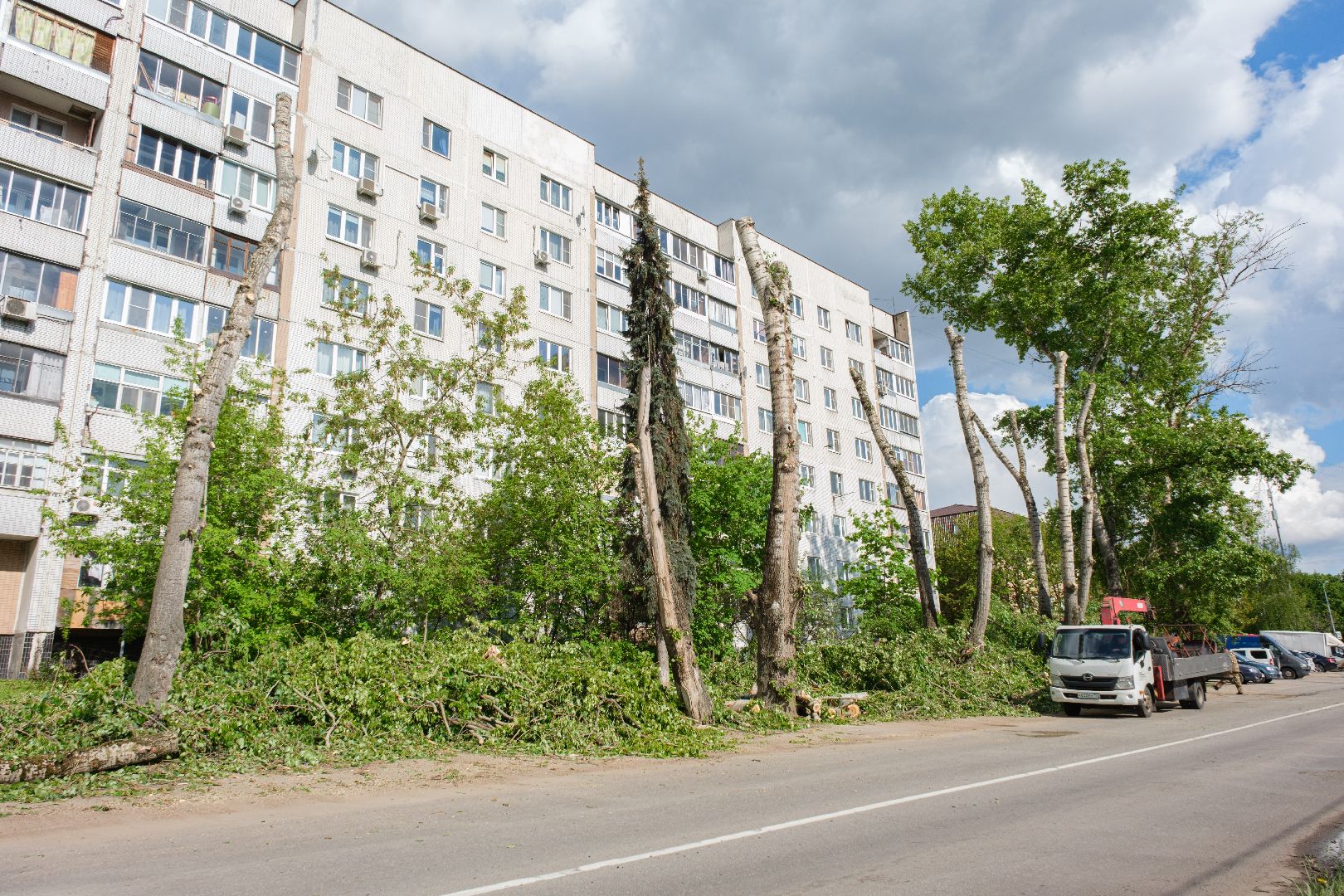 лыткарино, жкх,  сухостойные деревья, благоустройство, опиловка деревьев,
