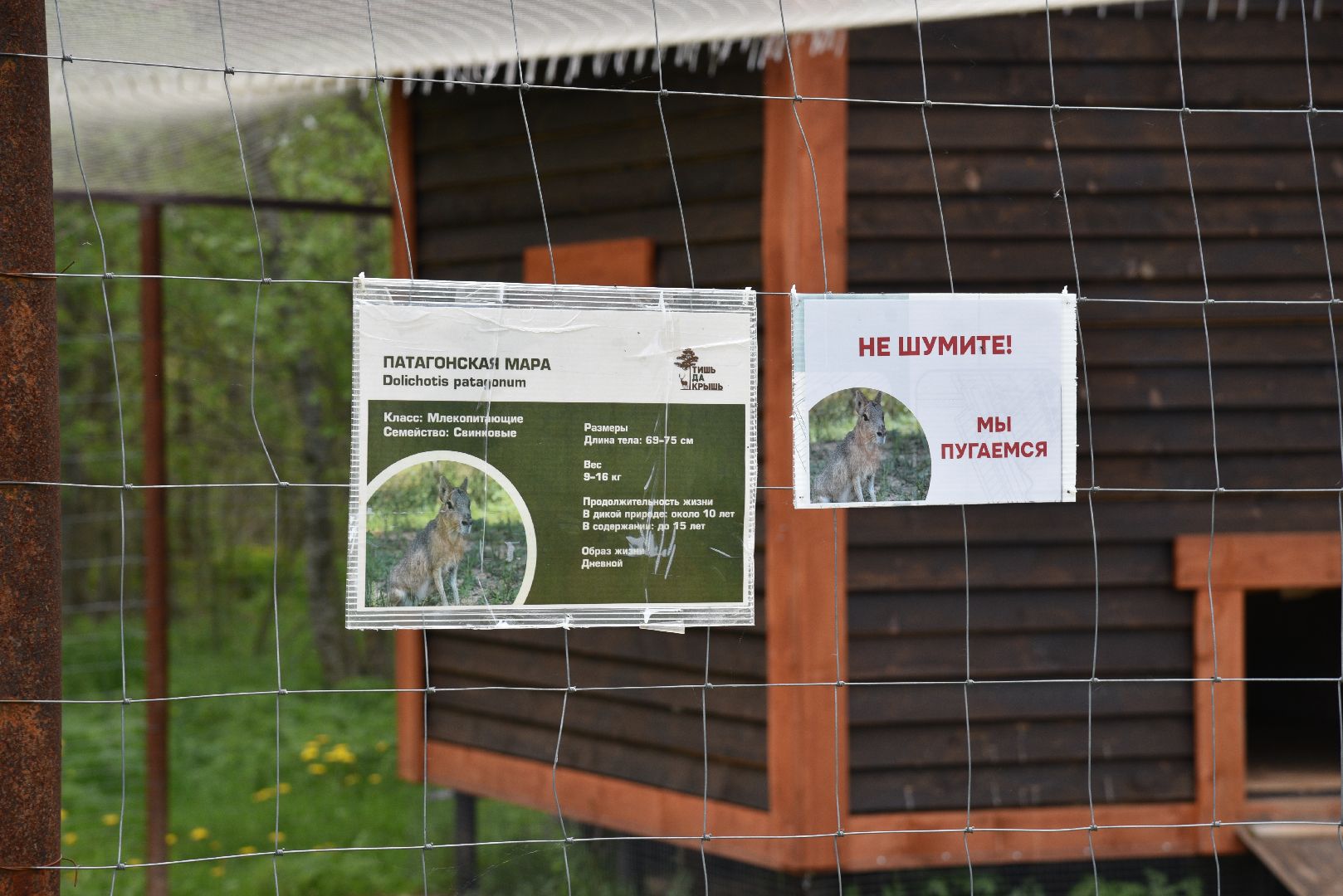 лотошино, шилово, зоопарк, зоопространство,