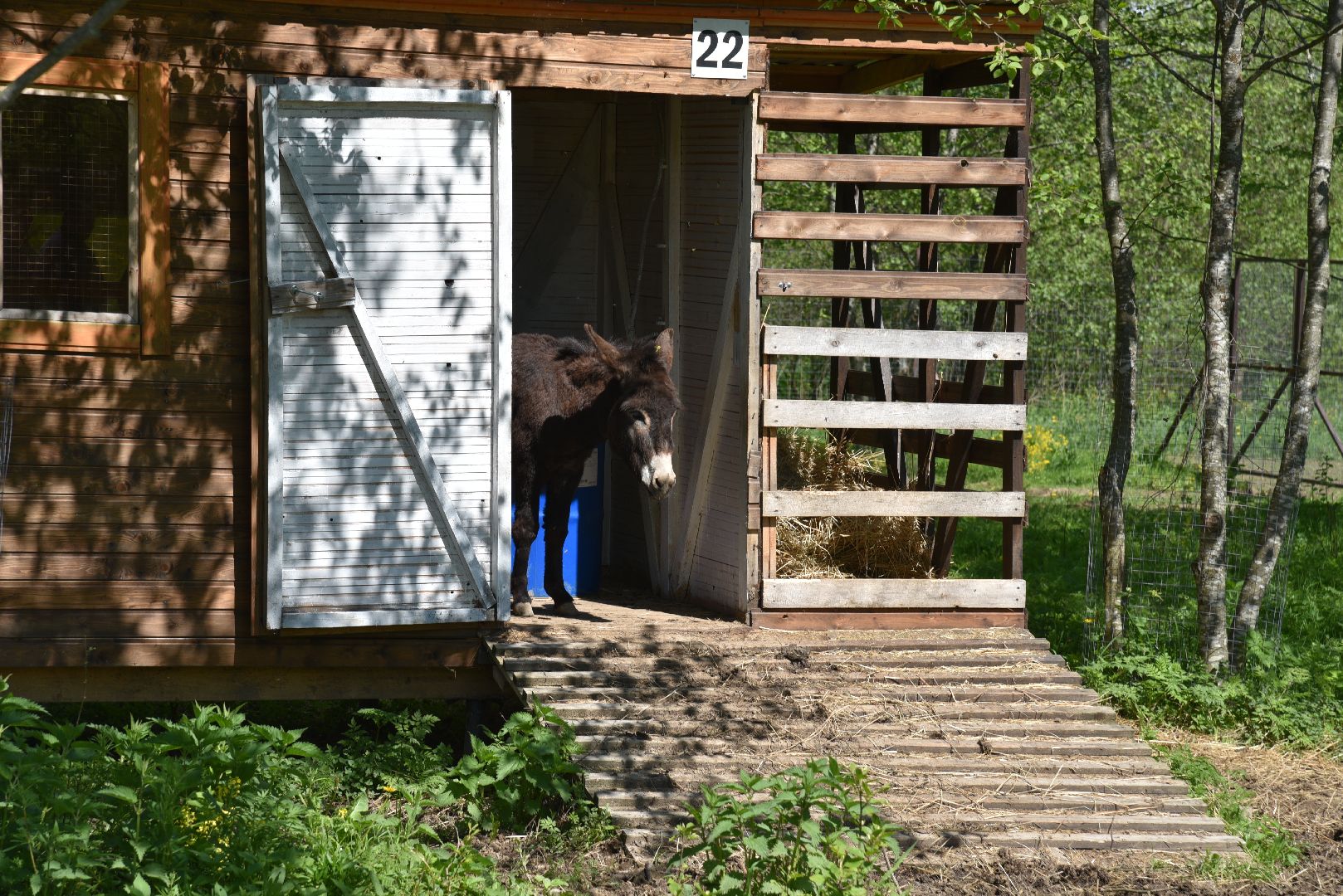 лотошино, шилово, зоопарк, зоопространство,