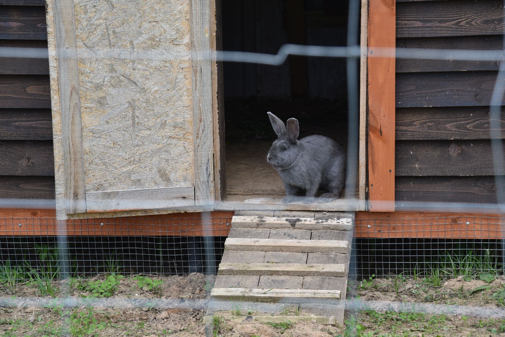лотошино, шилово, зоопарк, зоопространство,