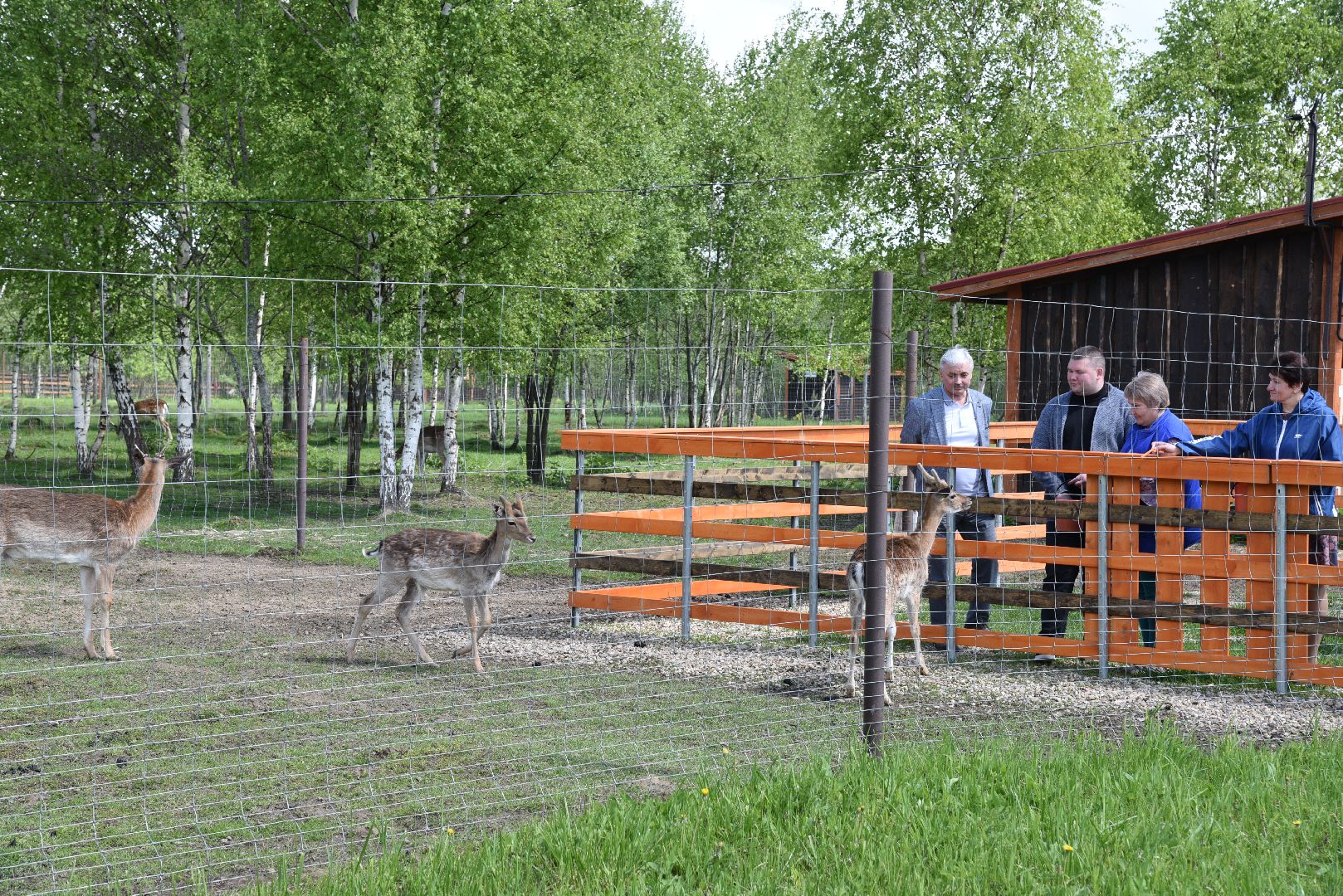 лотошино, шилово, зоопарк, зоопространство,