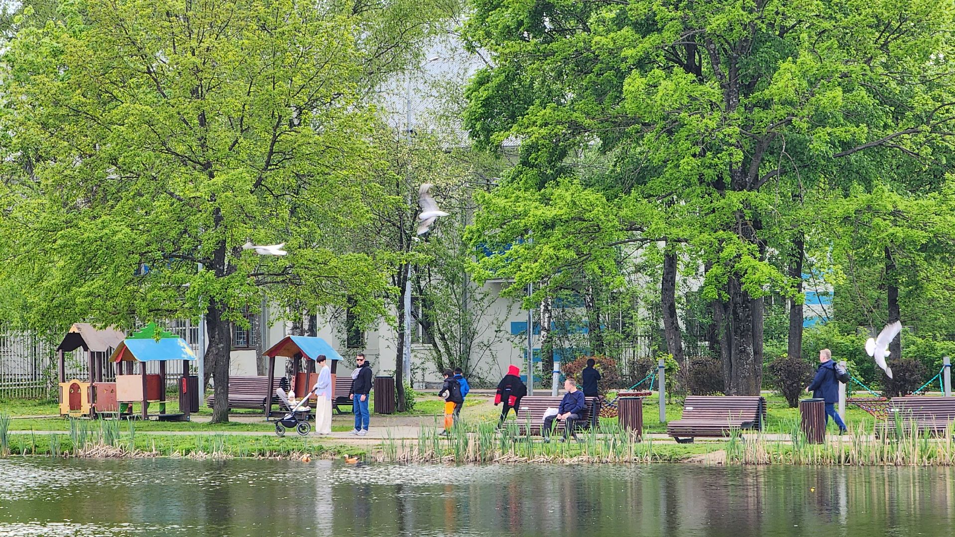 Благоустройство , Всероссийское голосование, Лобня, Сквер,