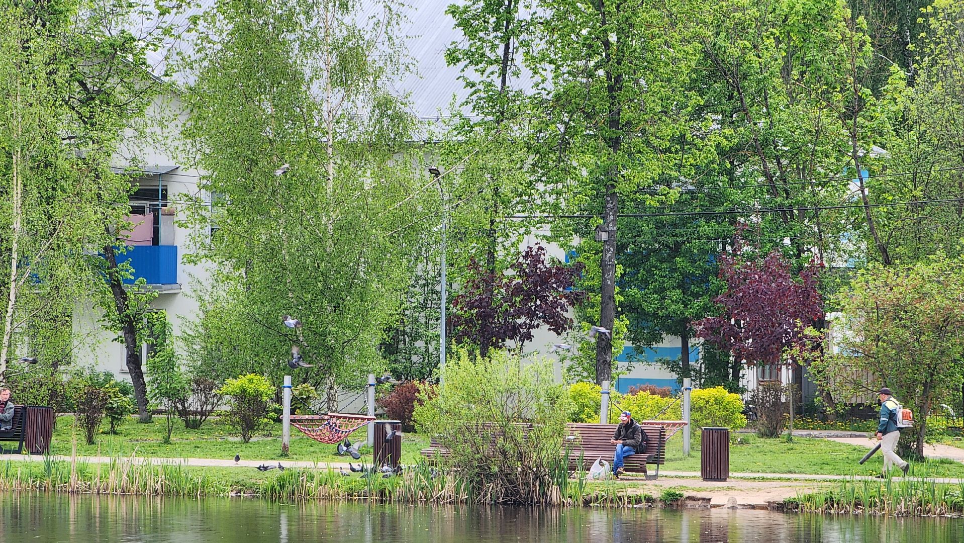 Благоустройство , Всероссийское голосование, Лобня, Сквер,