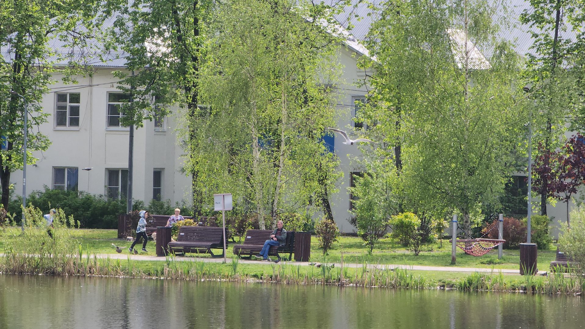 Благоустройство , Всероссийское голосование, Лобня, Сквер,