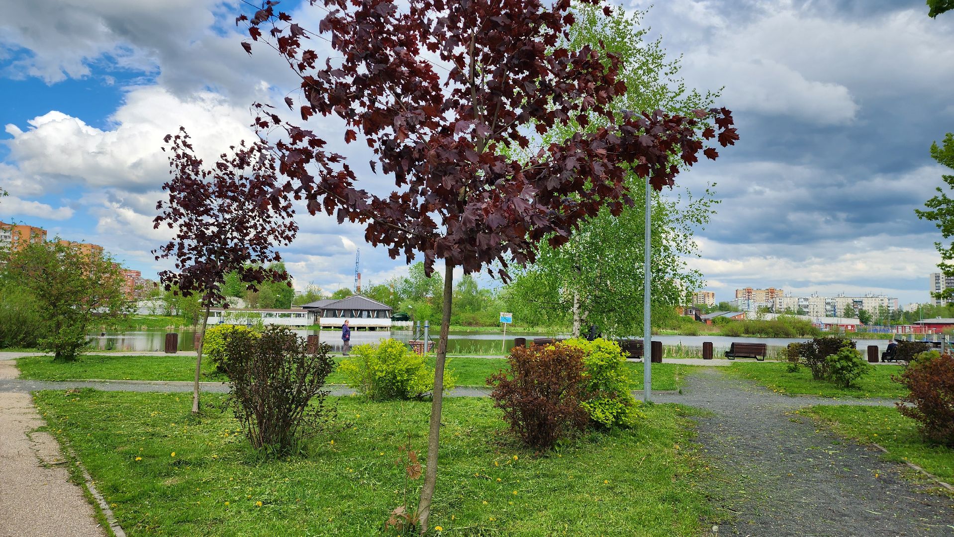 Благоустройство , Всероссийское голосование, Лобня, Сквер,