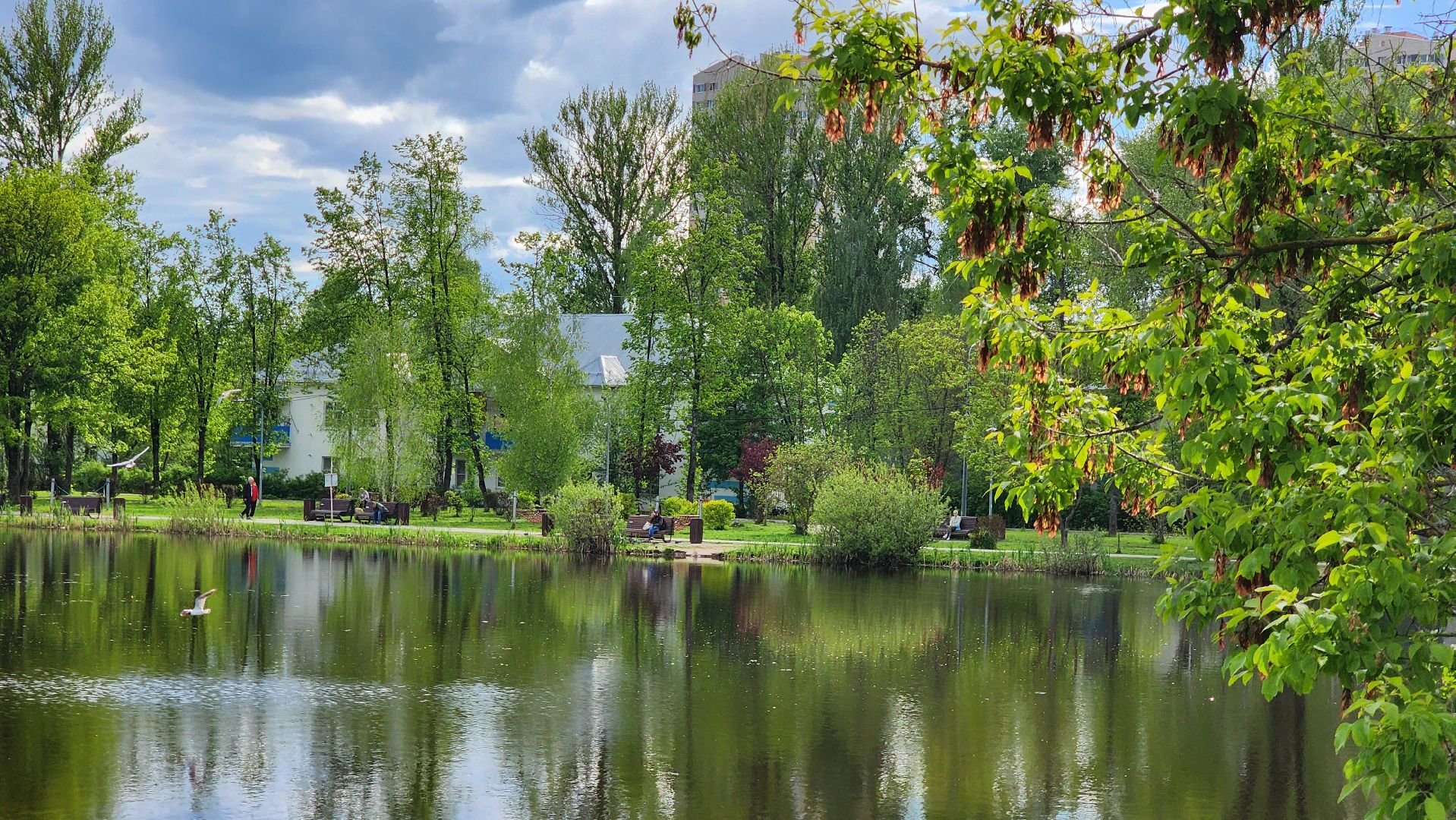 Благоустройство , Всероссийское голосование, Лобня, Сквер,
