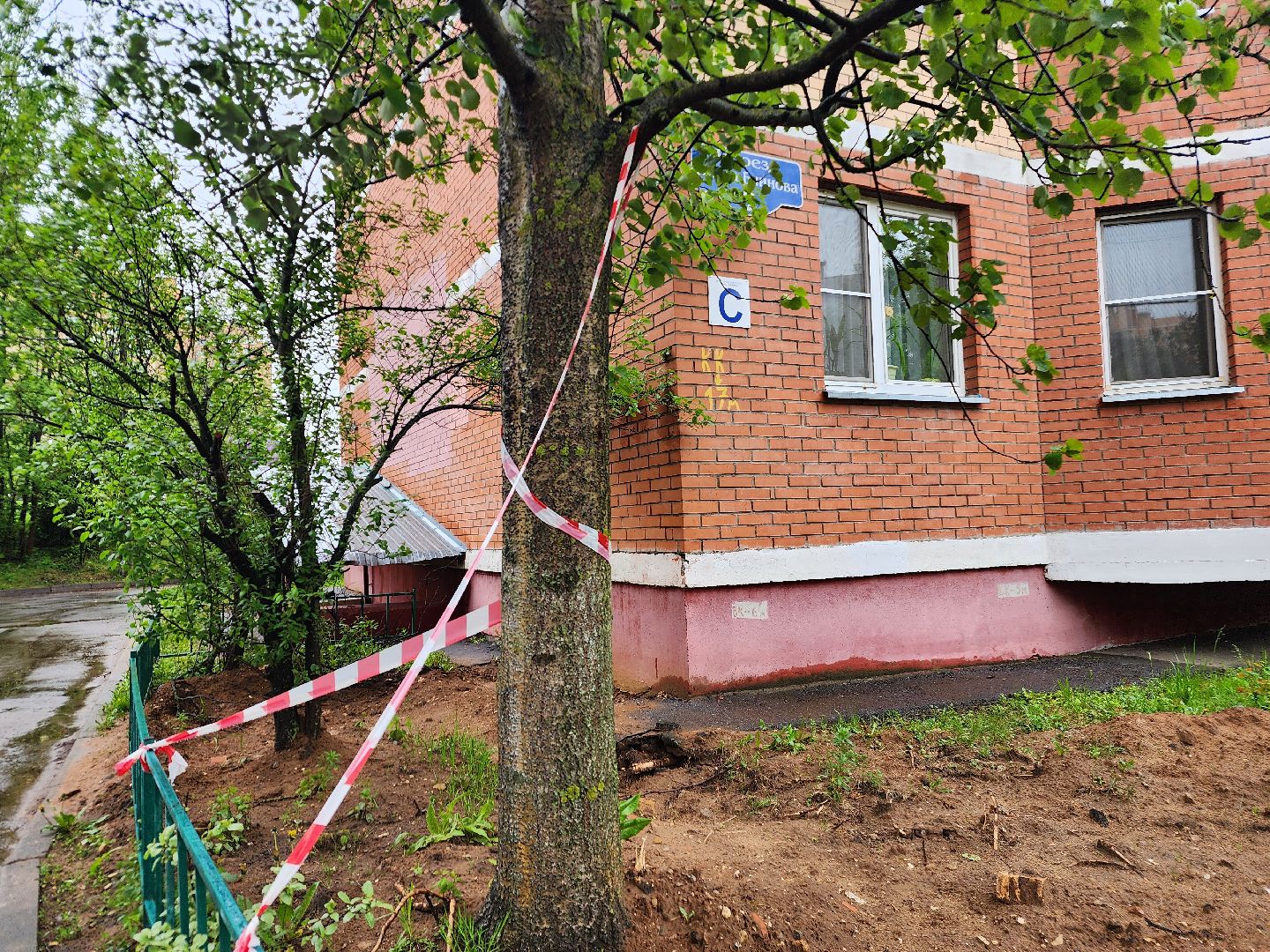 фрязино, удаление деревьев, аварийное дерево,