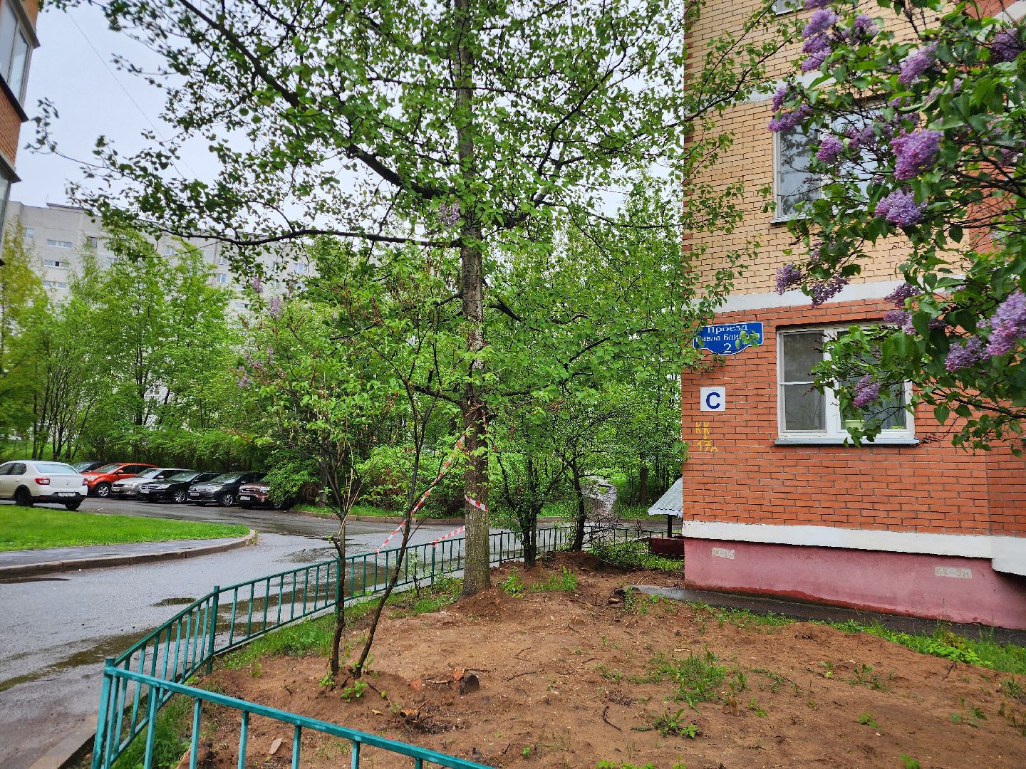 фрязино, удаление деревьев, аварийное дерево,