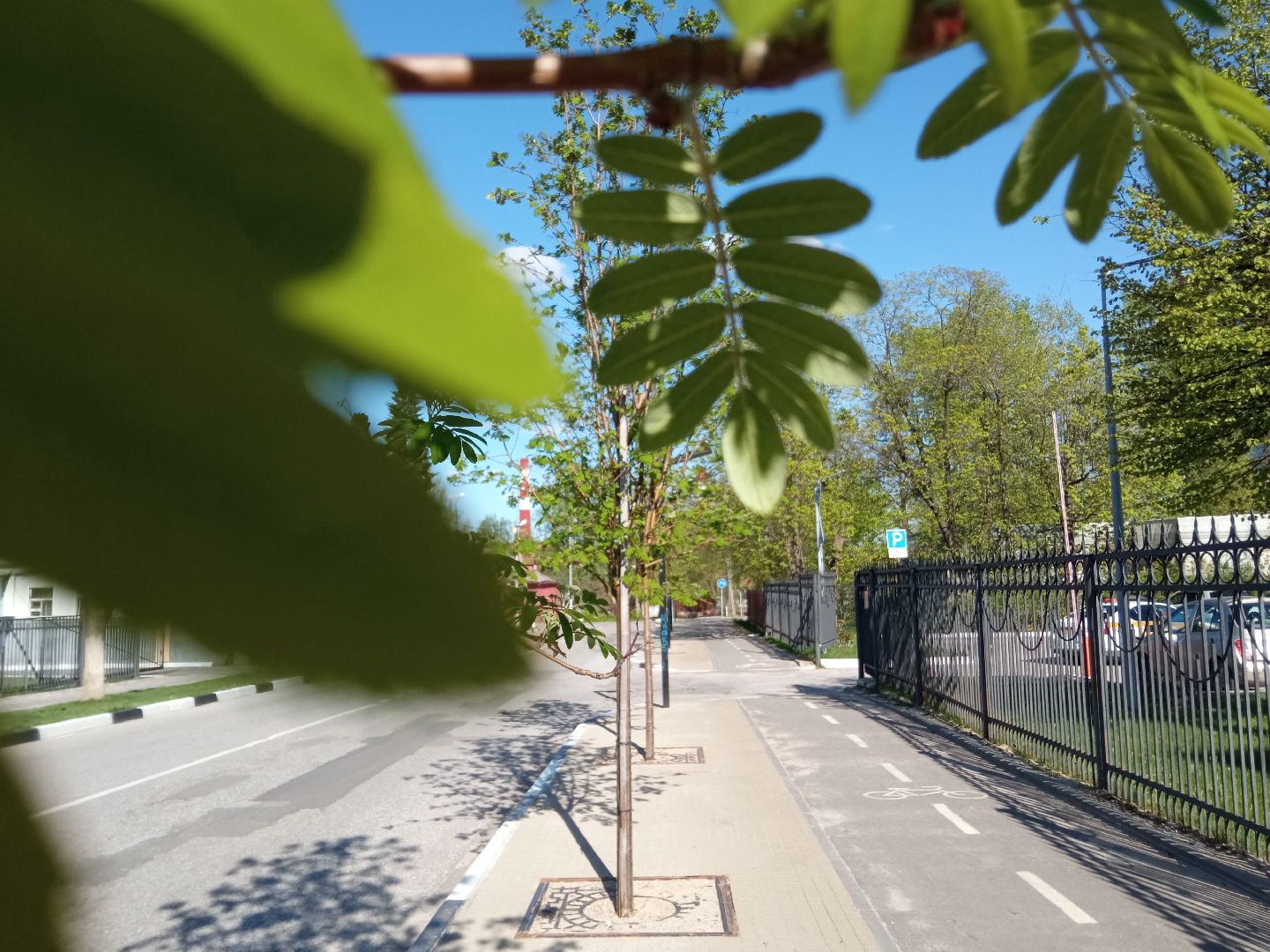 Павловский Посад, городской округ Павловский Посад, платки, туристы, пешеходная зона