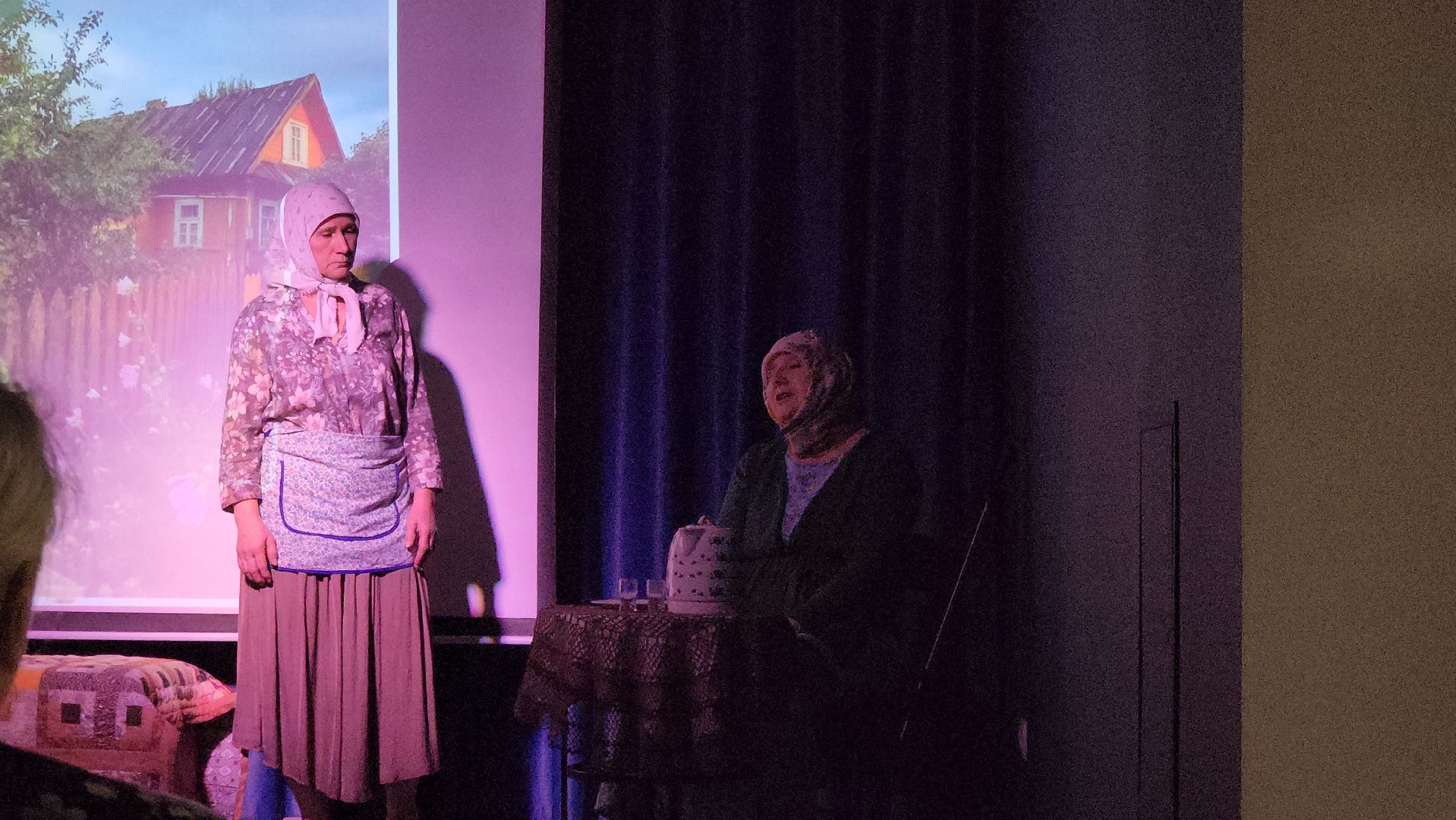 долгопрудный, микрорайон Северный, театр на долгих прудах, централизованная библиотечная система, марьино поле, спектакль, центральная модельная библиотека,