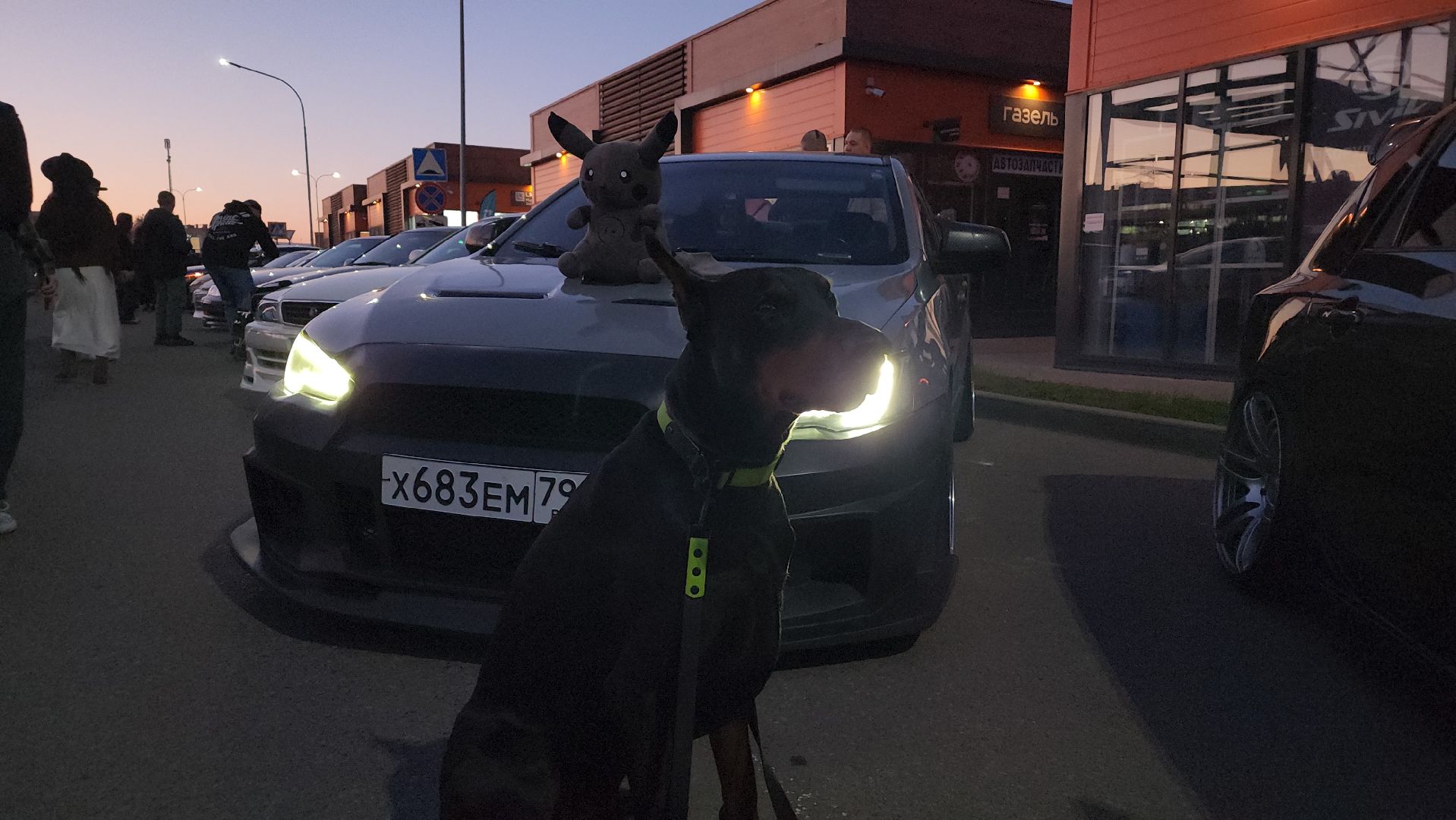 мытищи, автомобиль, культура, сходка,