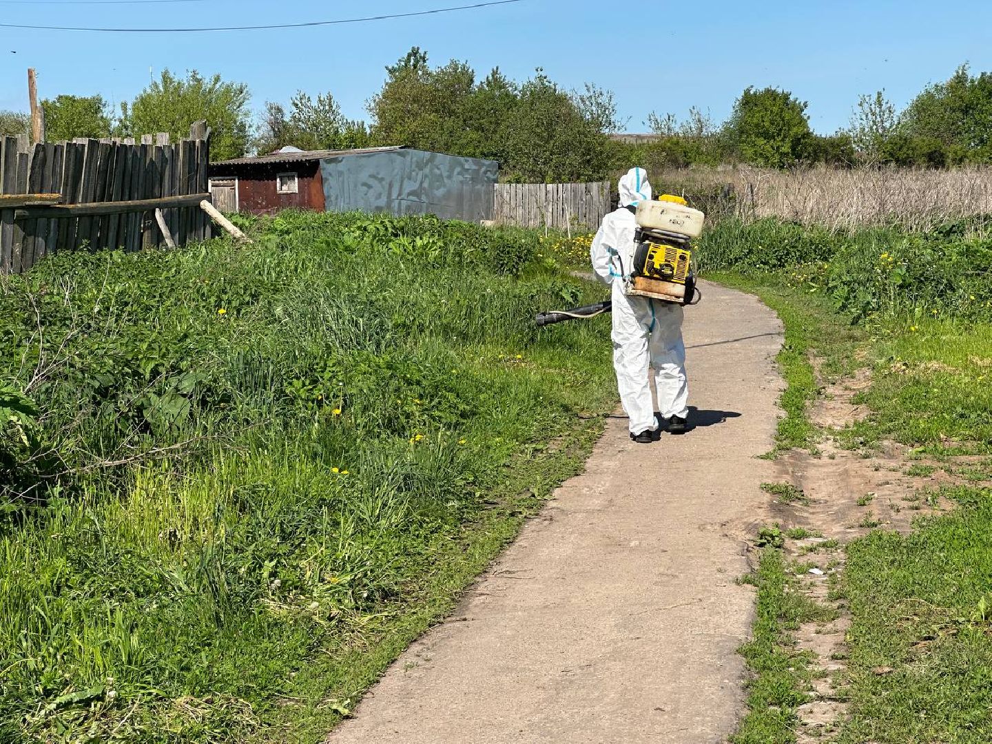 Луховицы #БорьбаСБорщевиком #Экология #Безопасность #Подмосковье,