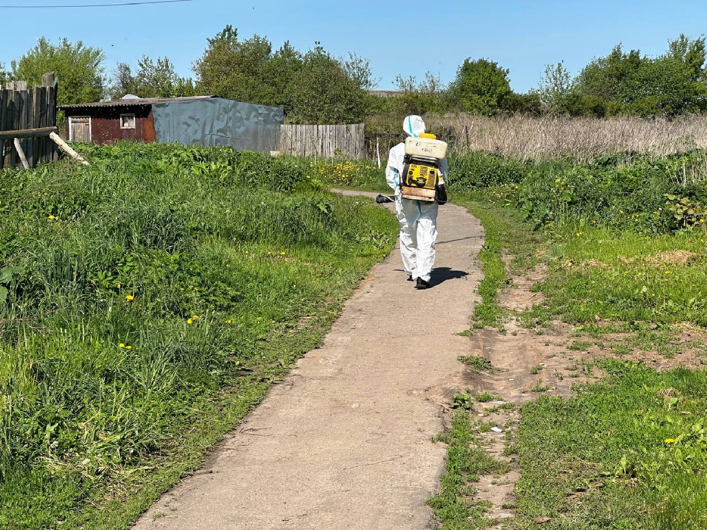 Луховицы #БорьбаСБорщевиком #Экология #Безопасность #Подмосковье,