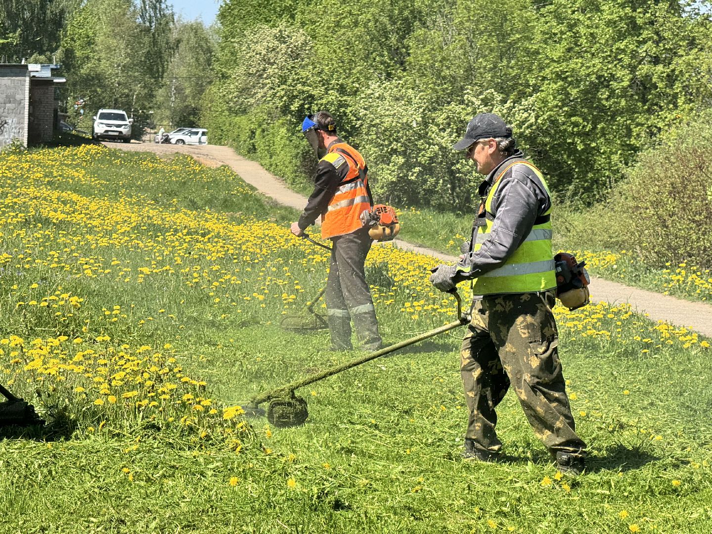 шаховская, покос травы, трава,