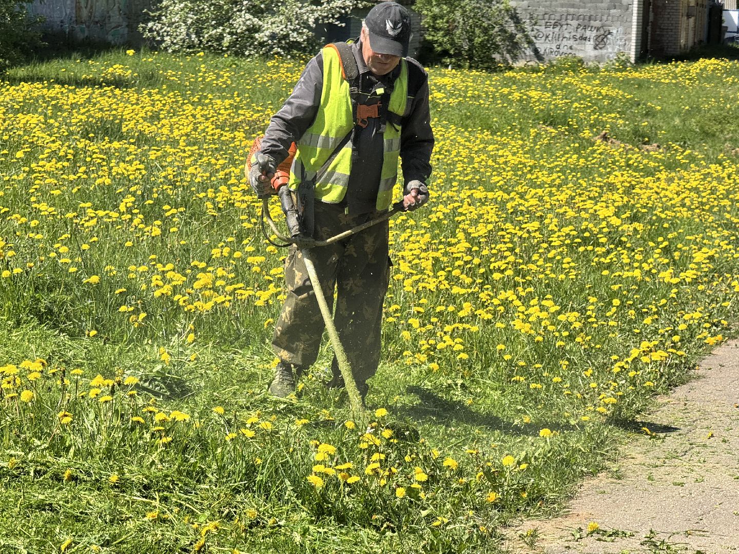 шаховская, покос травы, трава,