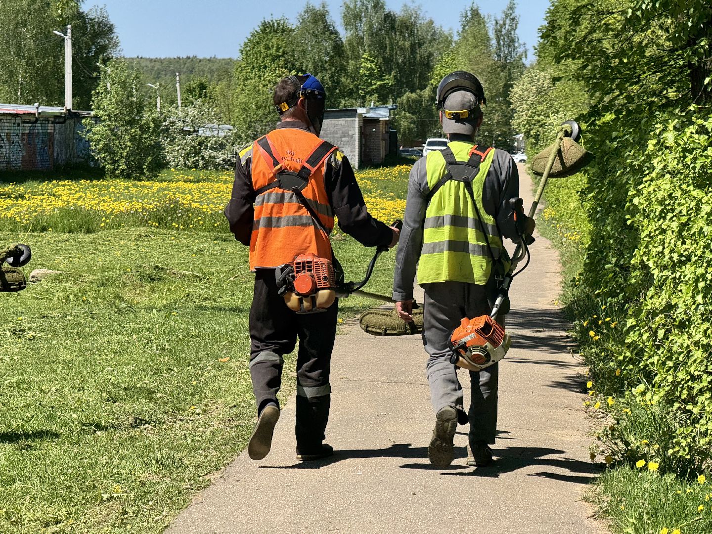 шаховская, покос травы, трава,