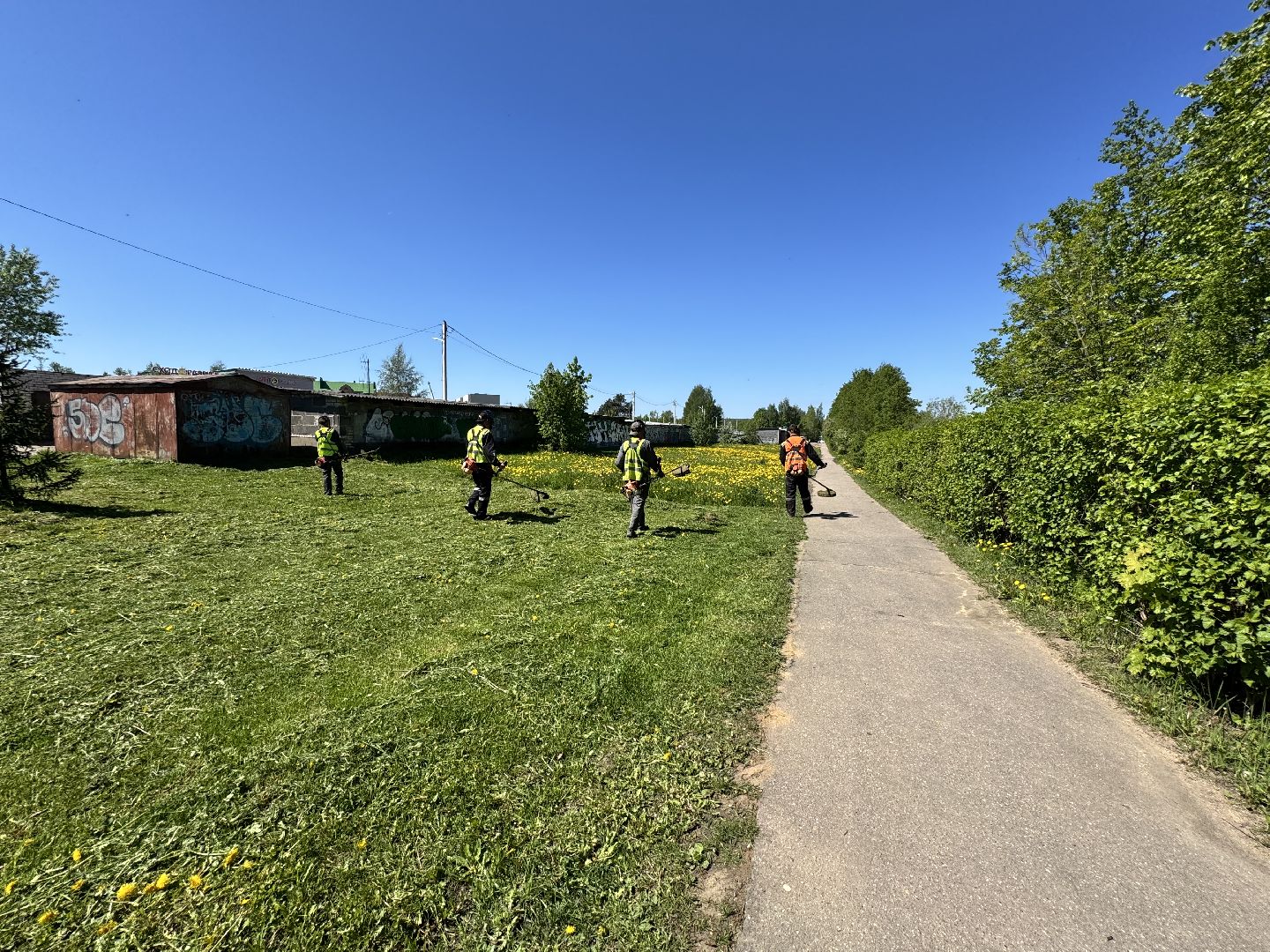 шаховская, покос травы, трава,