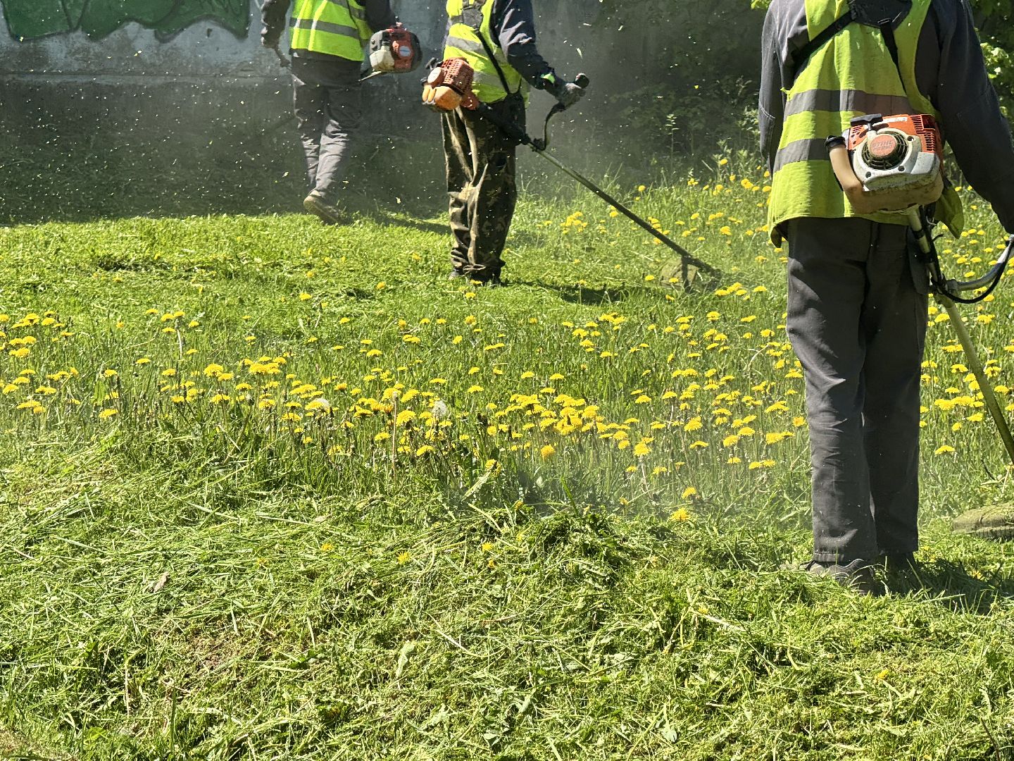 шаховская, покос травы, трава,