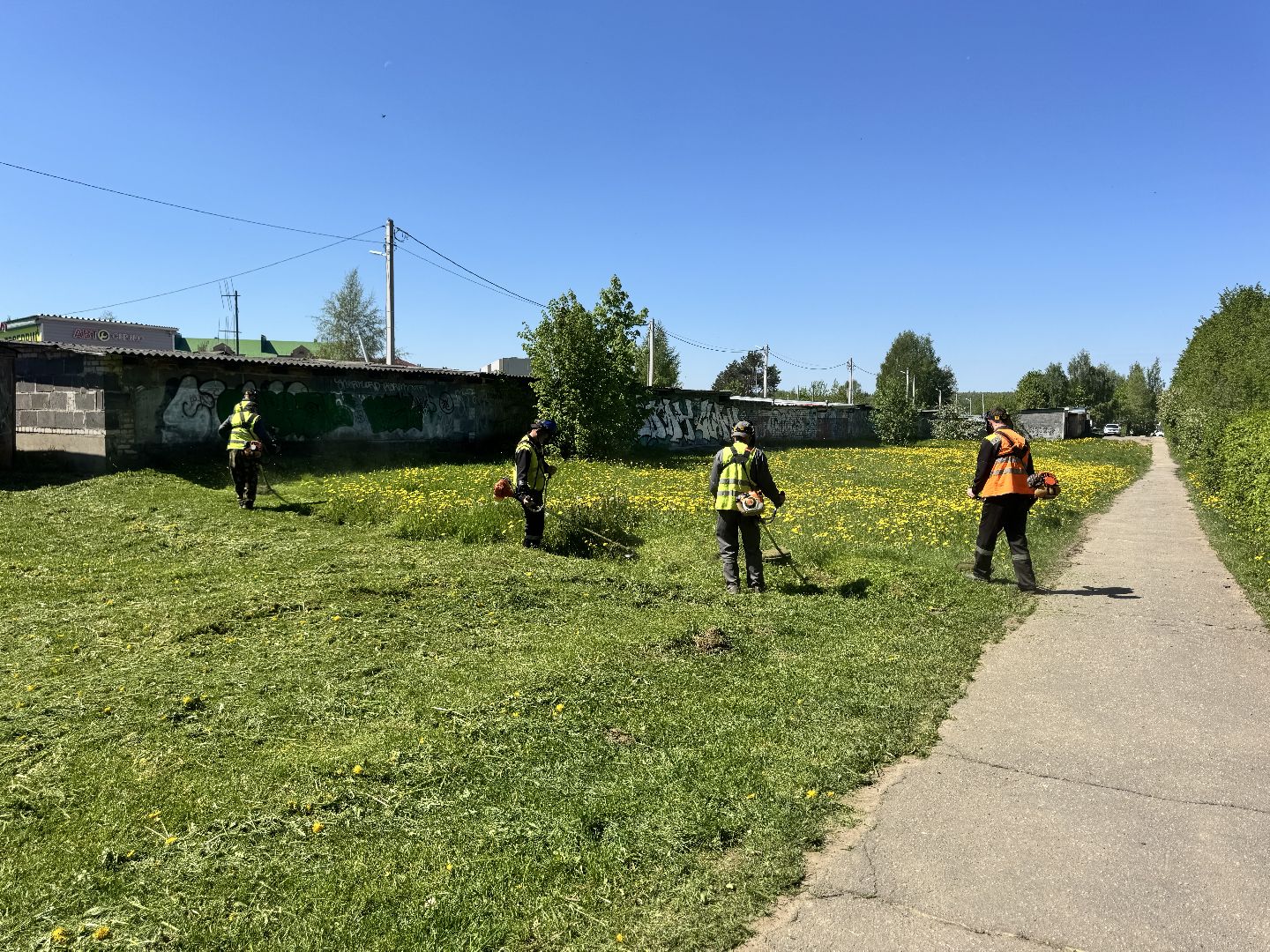 шаховская, покос травы, трава,