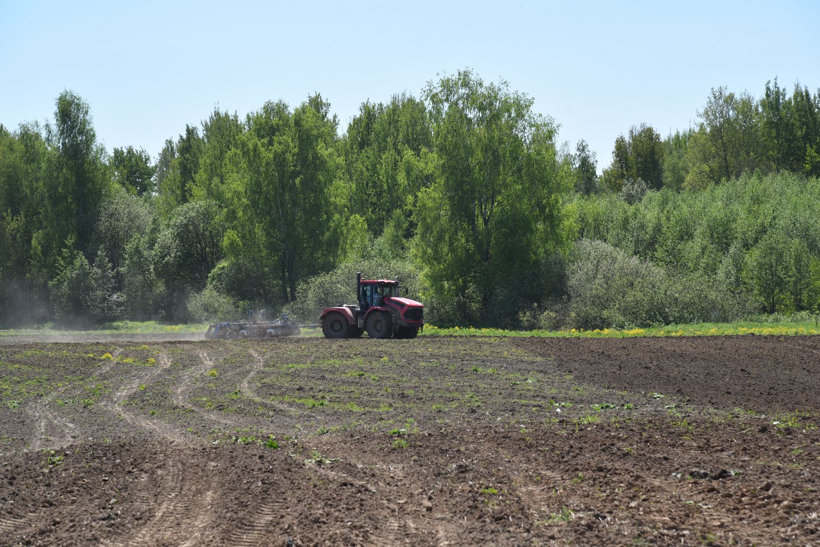 лотошино, сельское хозяйство, аграрии,