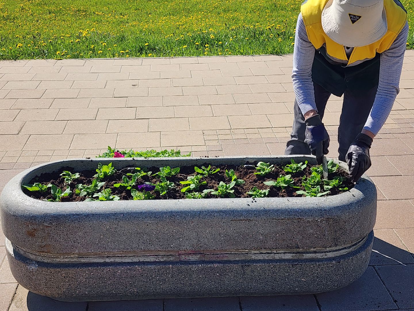 сергиев посад, озеленение, келарская набережная, клумбы,